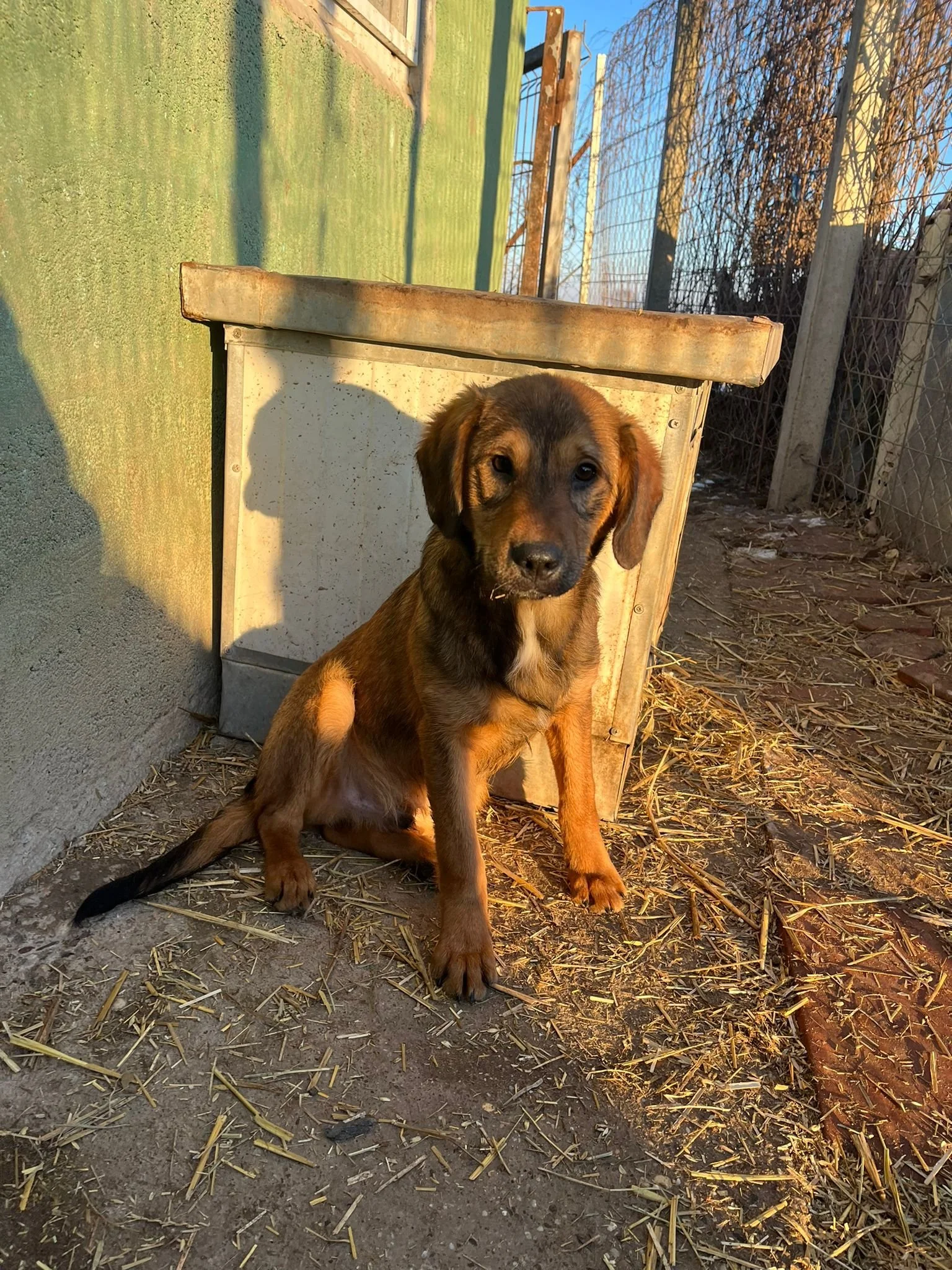 WhatsApp Image 2024-01-14 at 15.27.28.jpeg