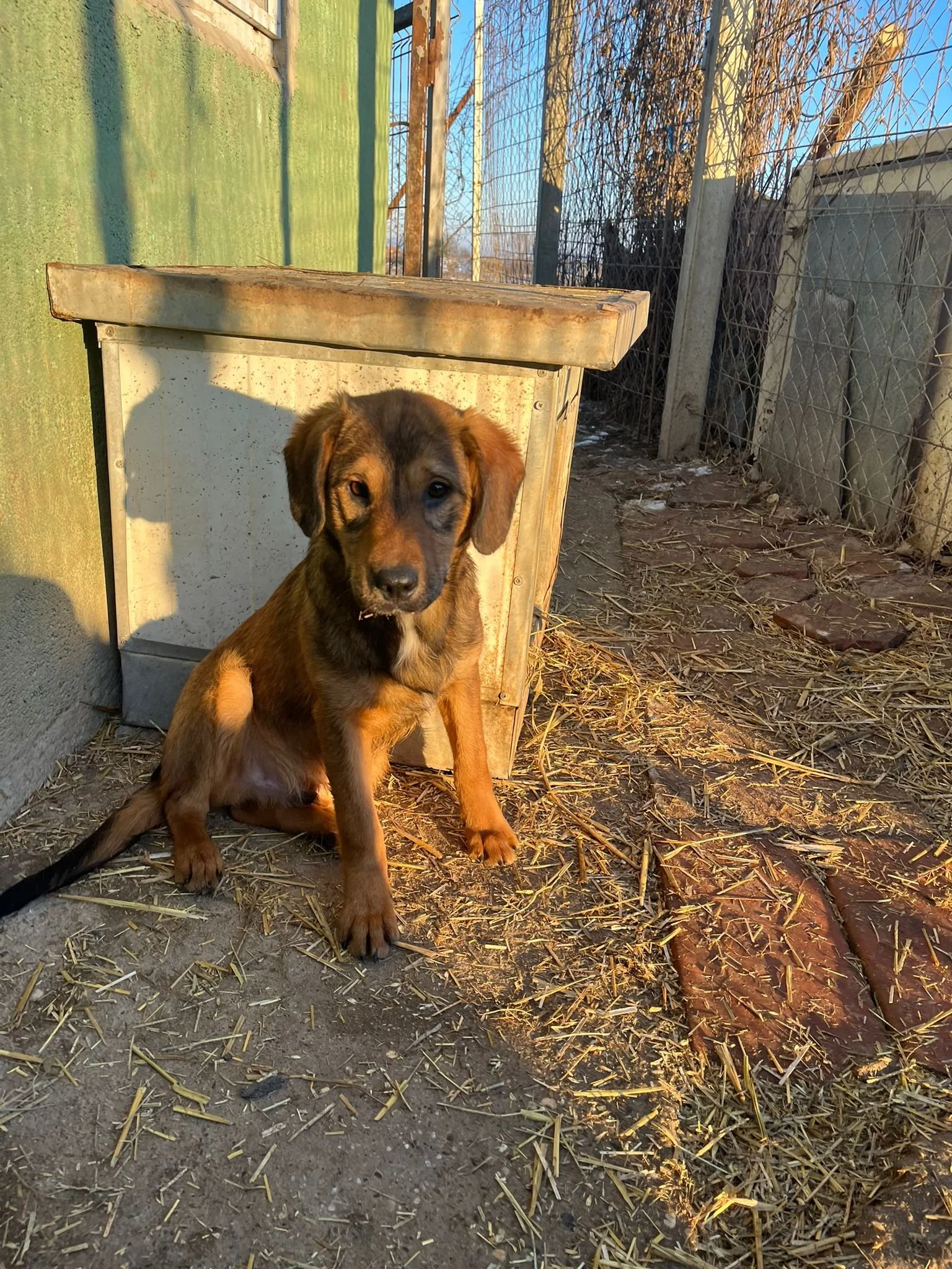 WhatsApp Image 2024-01-14 at 15.27.27.jpeg