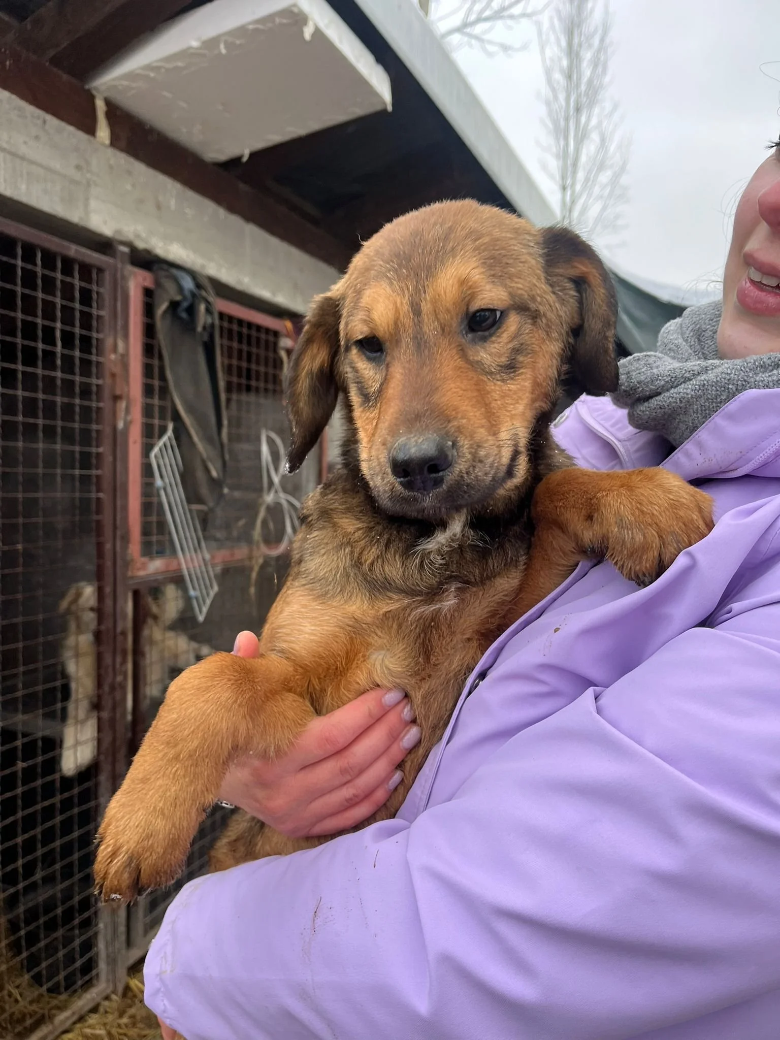 WhatsApp Image 2024-01-10 at 18.01.34.jpeg