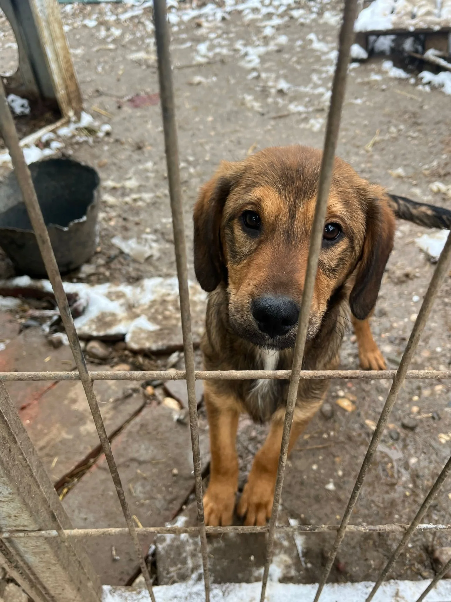 WhatsApp Image 2024-01-10 at 18.00.22.jpeg