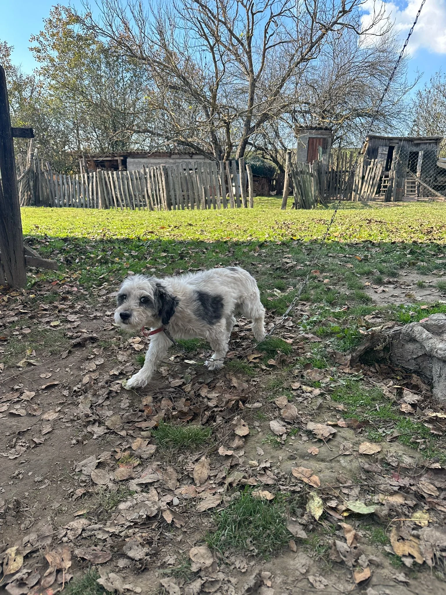 WhatsApp Image 2024-11-01 at 15.06.37.jpeg