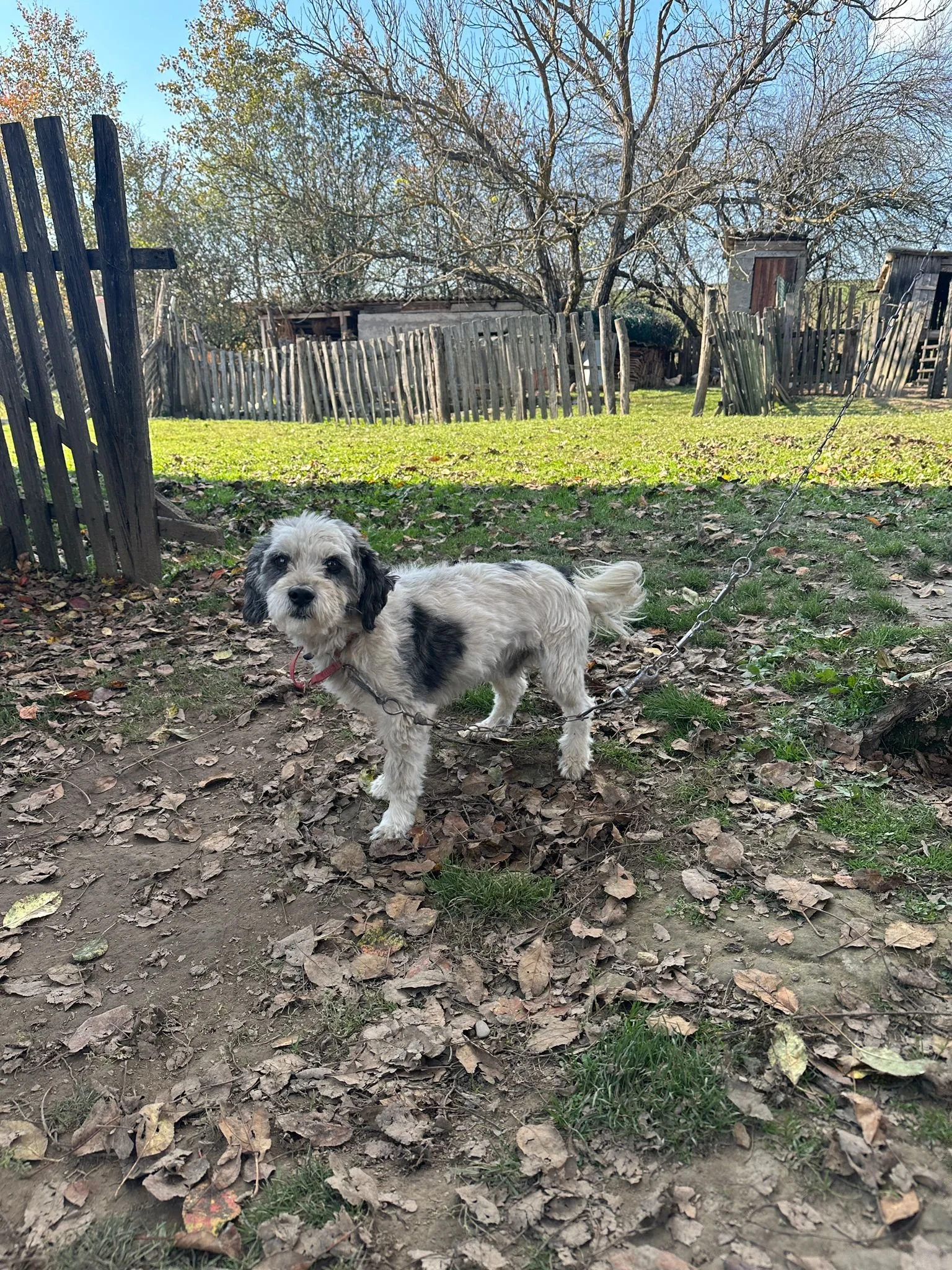 WhatsApp Image 2024-11-01 at 15.06.38.jpeg