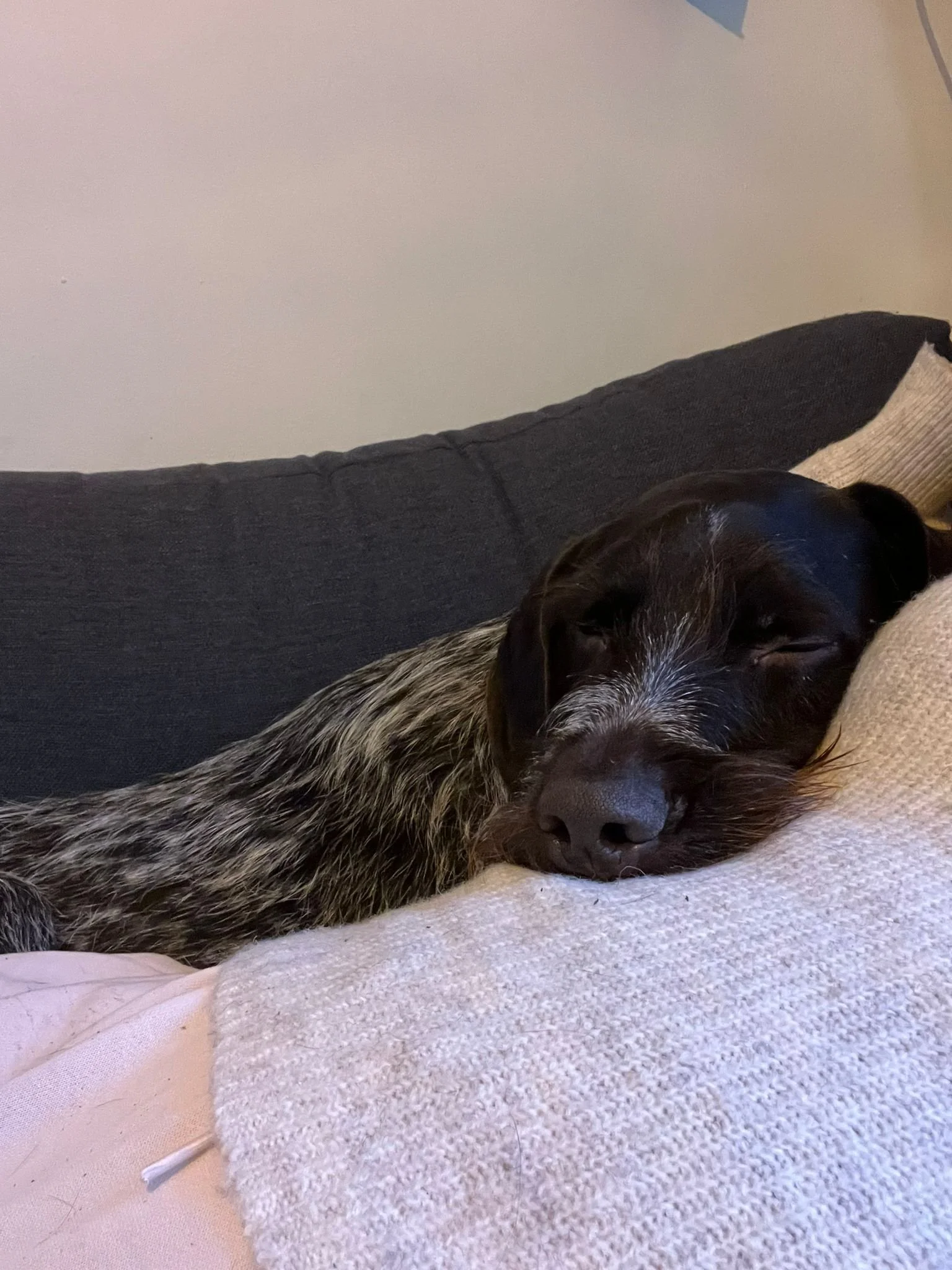 WhatsApp Image 2024-12-01 at 10.29.35.jpeg