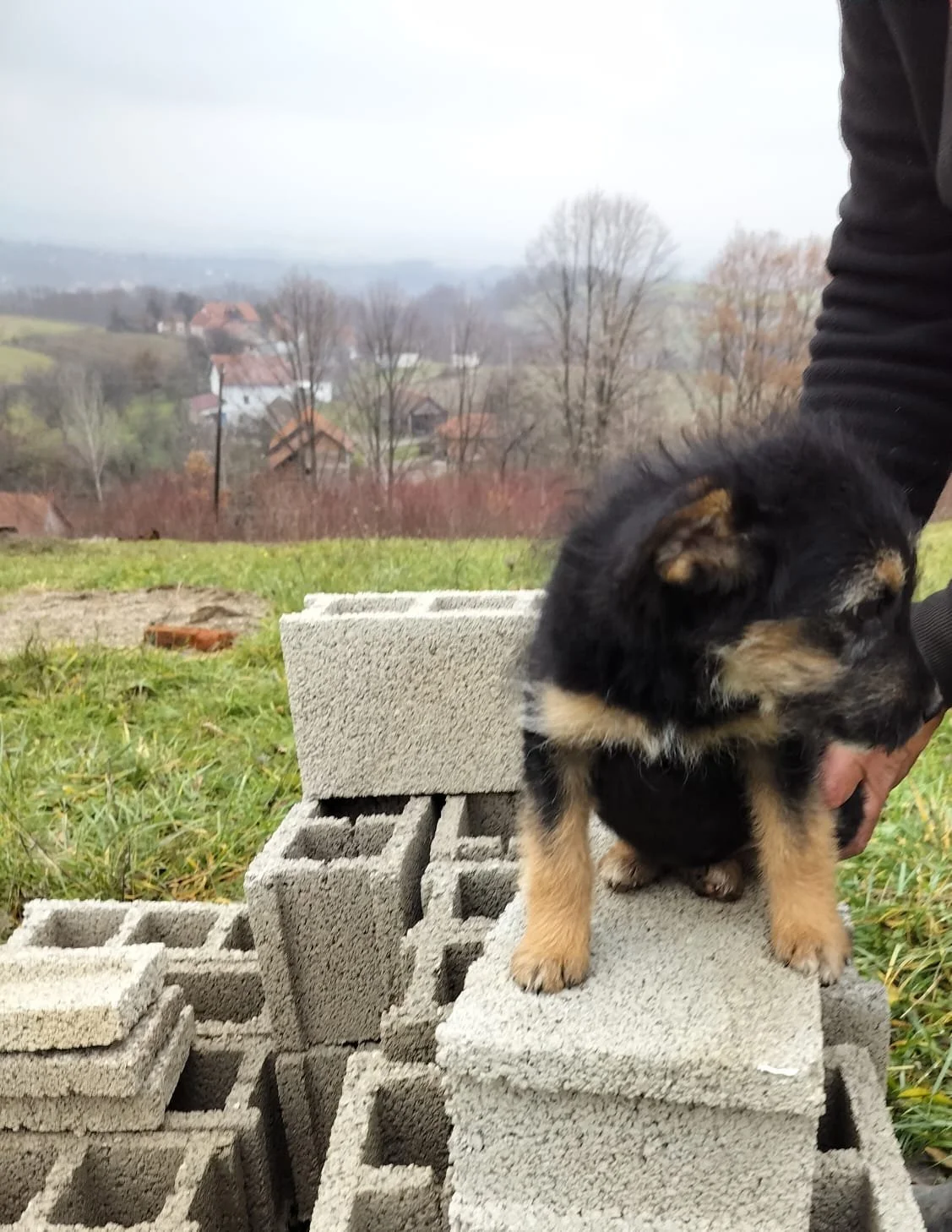 WhatsApp Image 2024-12-04 at 15.13.34.jpeg