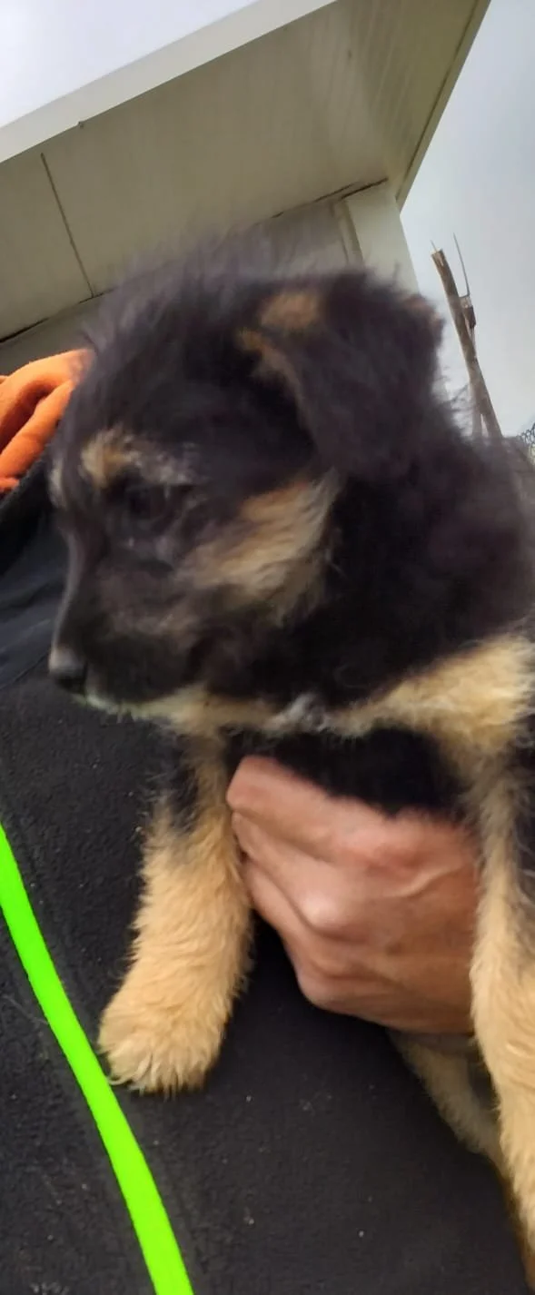 WhatsApp Image 2024-12-04 at 15.14.52.jpeg