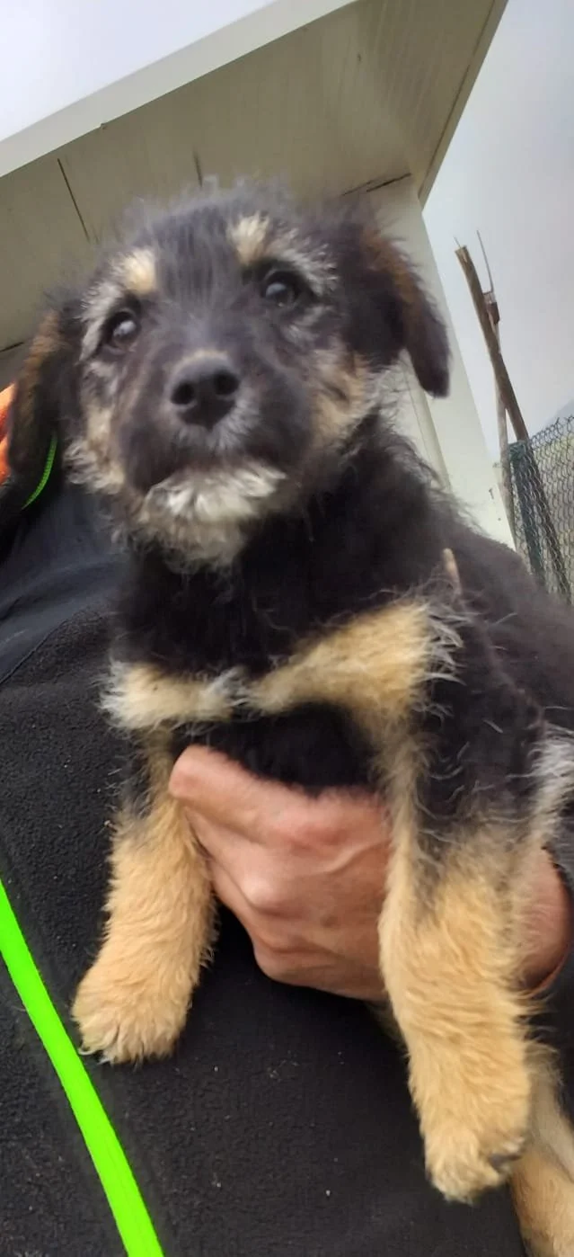 WhatsApp Image 2024-12-04 at 15.15.26.jpeg