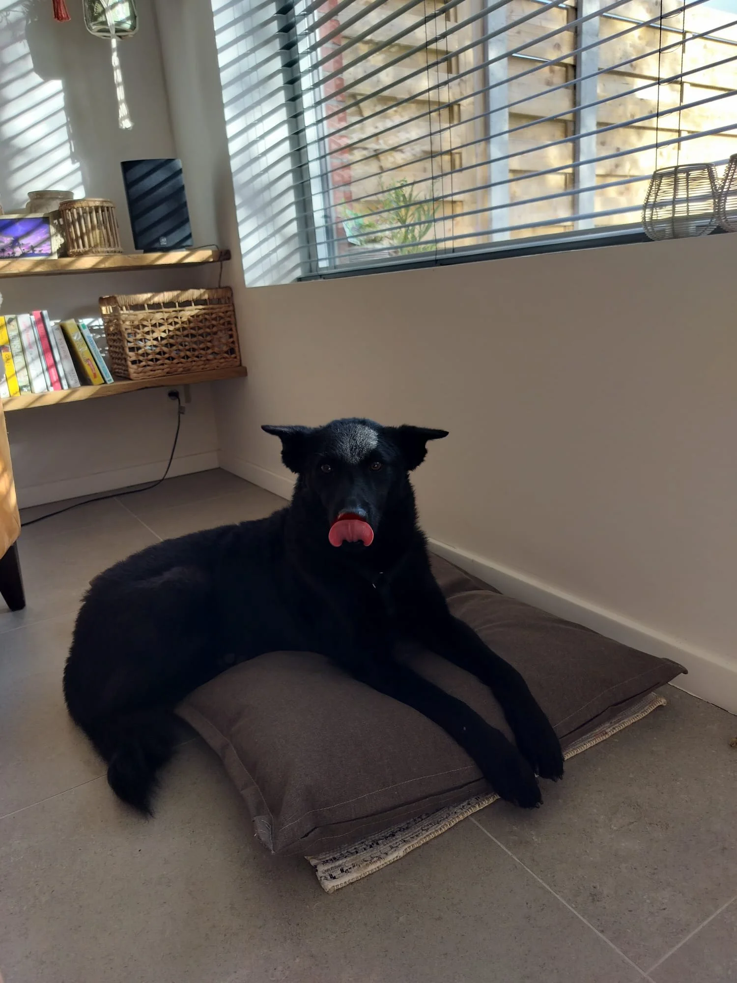 WhatsApp Image 2025-02-19 at 14.26.34.jpeg