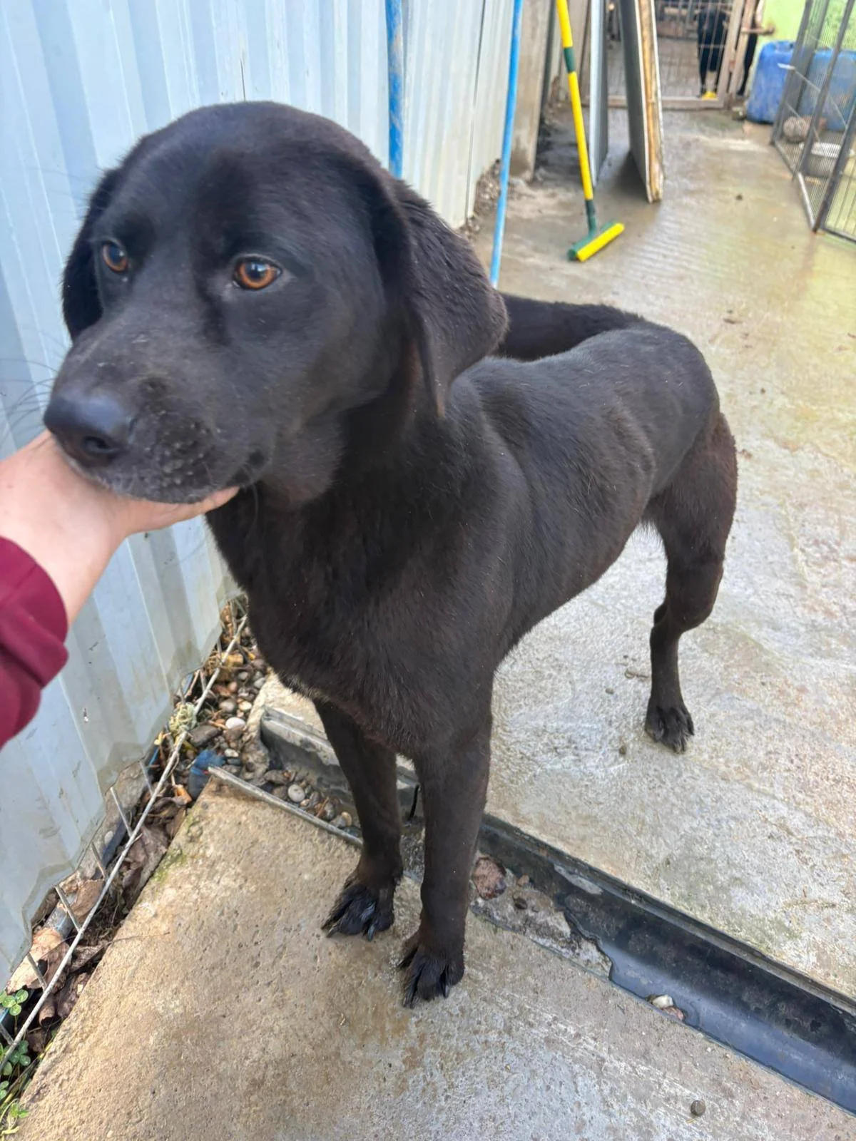 612610303_877176065228267_2375018807450654385_n (1).jpg