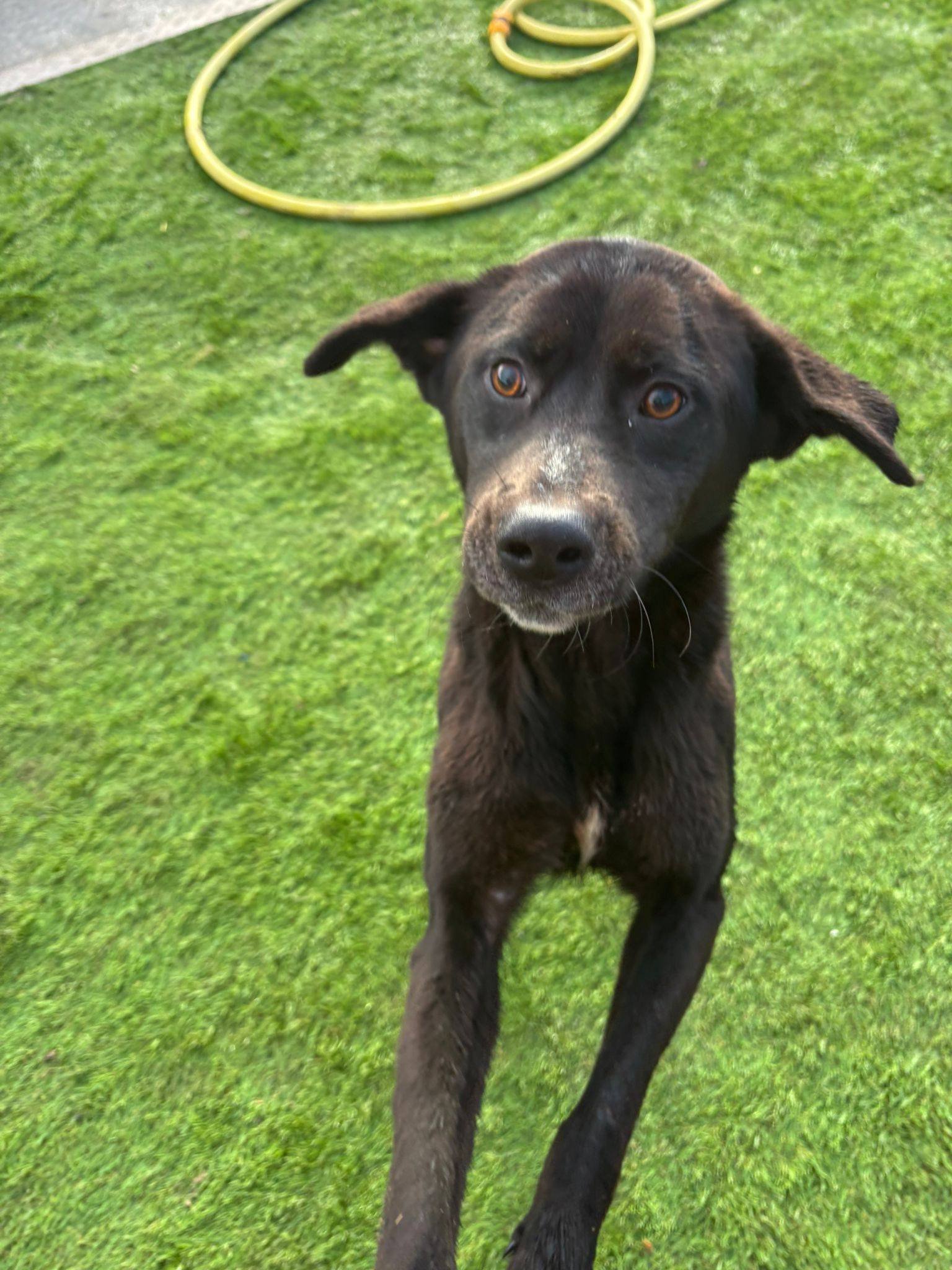 612369914_877176221894918_4260417624032483953_n (1).jpg