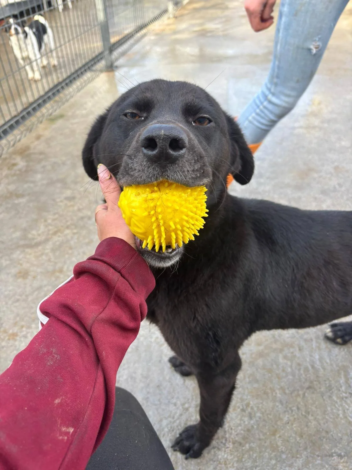 612946347_877175941894946_1239268328678083750_n (1).jpg