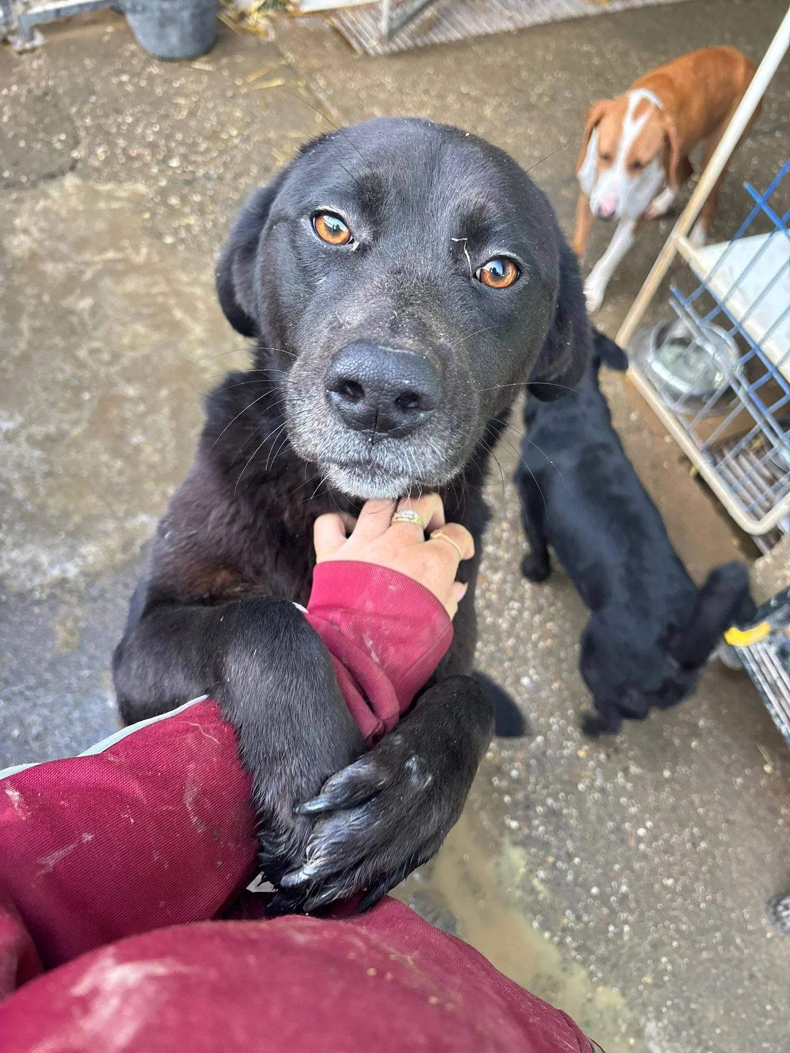 613150560_877176165228257_2824054639573281623_n (1).jpg