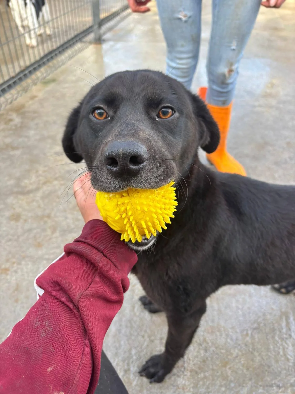 613427045_877176028561604_5949051110223202632_n (2).jpg