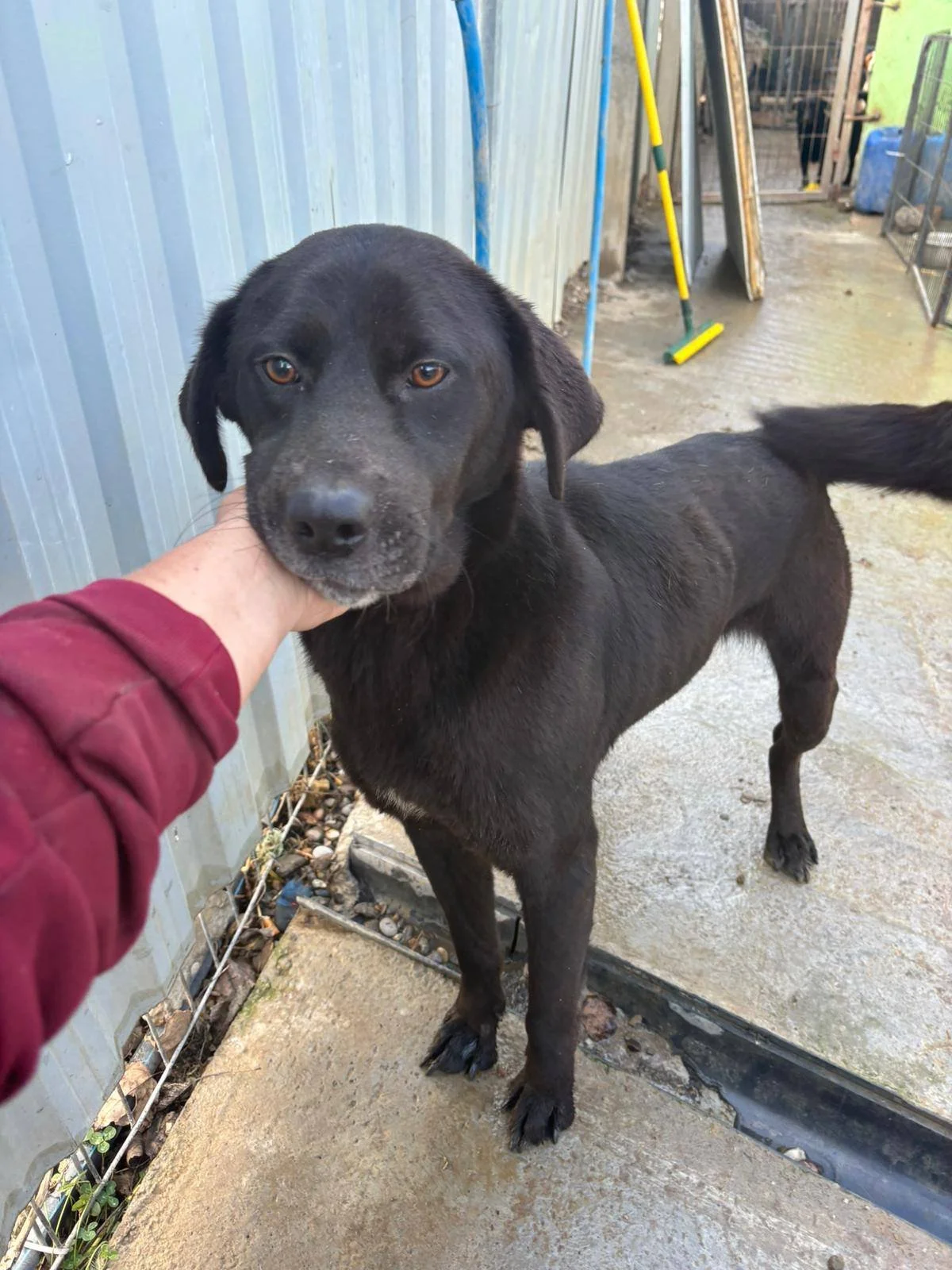 613910493_877175968561610_677305922939265827_n (1).jpg