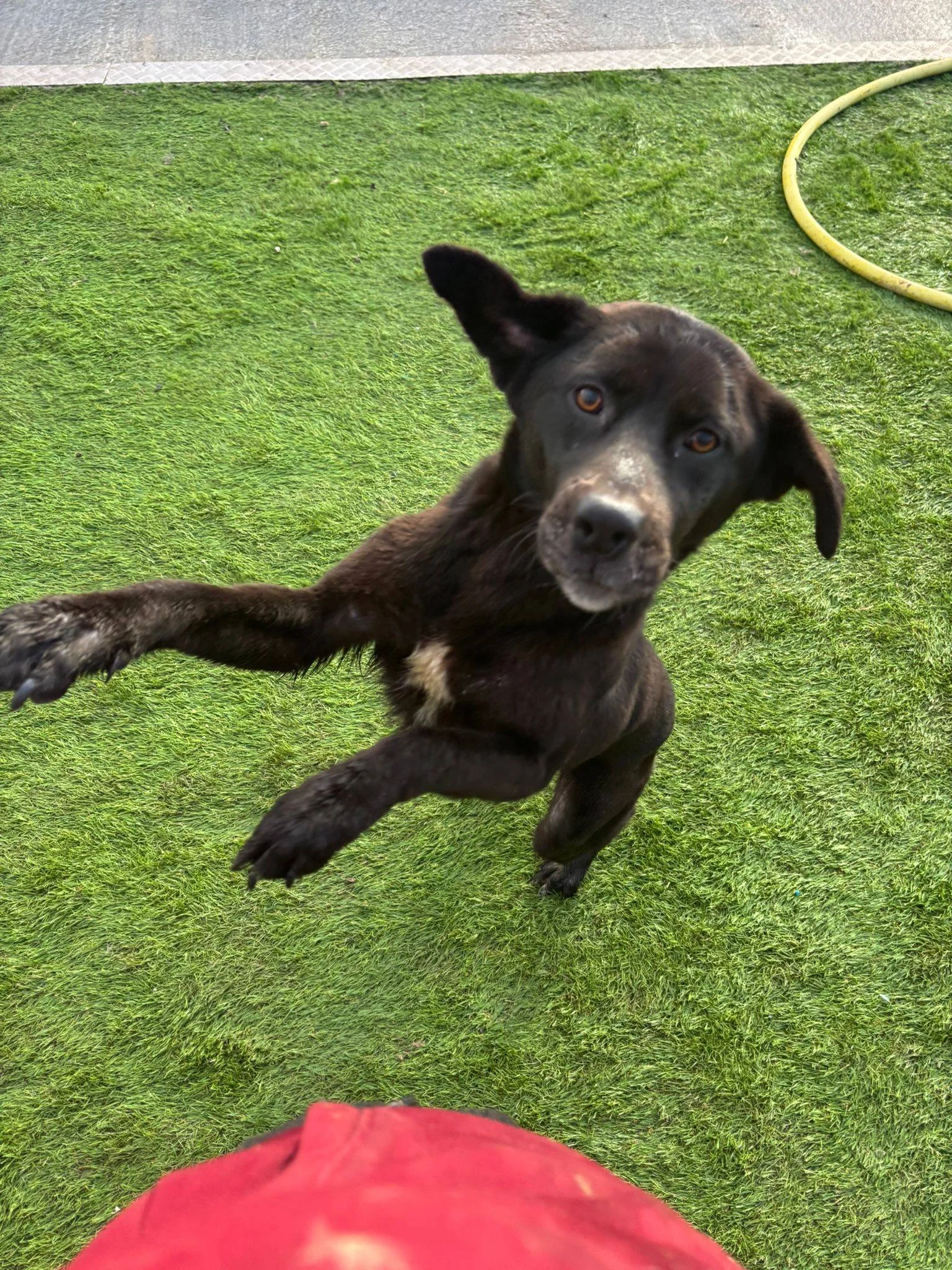 614599246_877176258561581_2681495427975098822_n (1).jpg