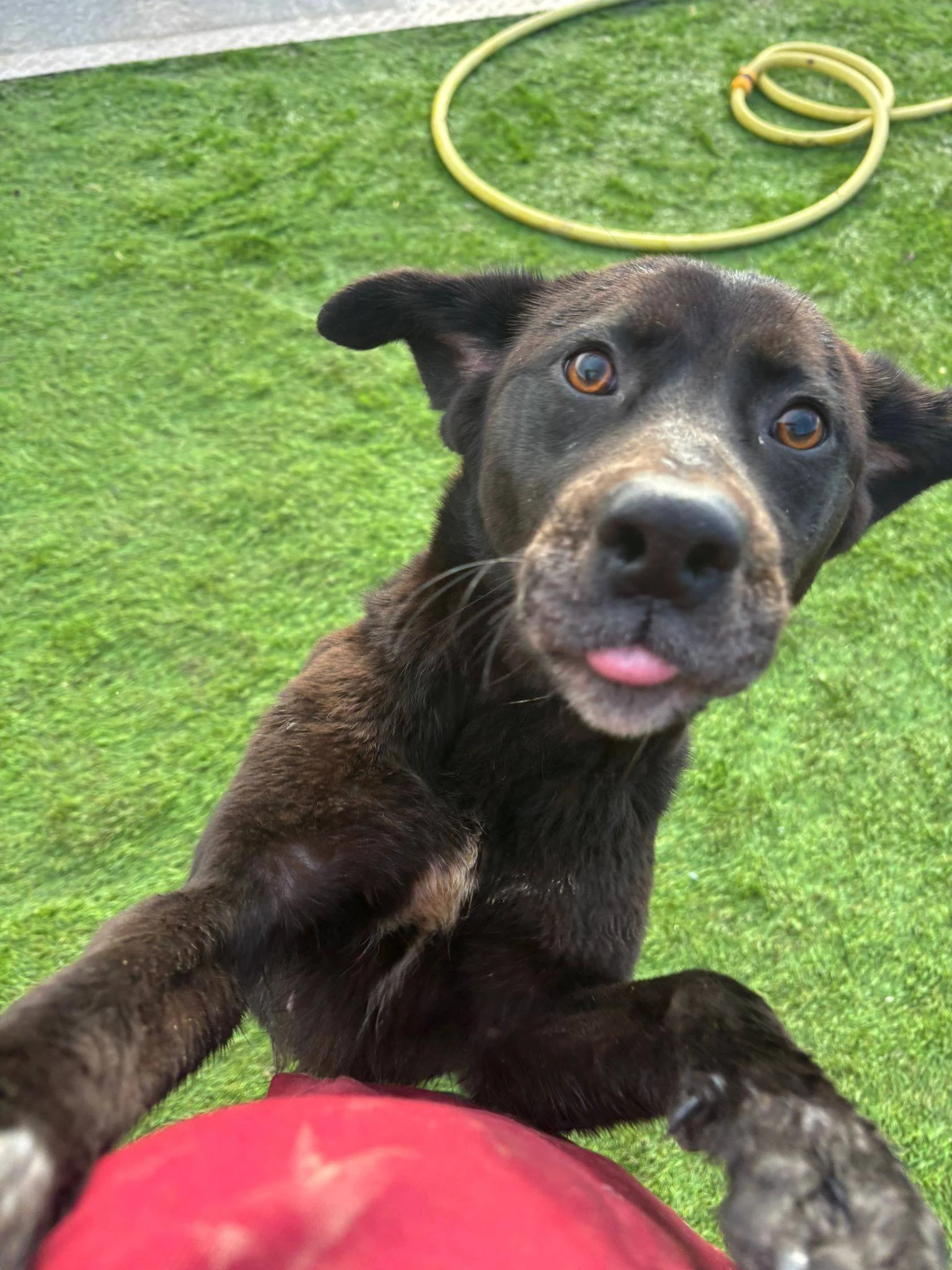 614939487_877175998561607_8040550369218010286_n (1).jpg