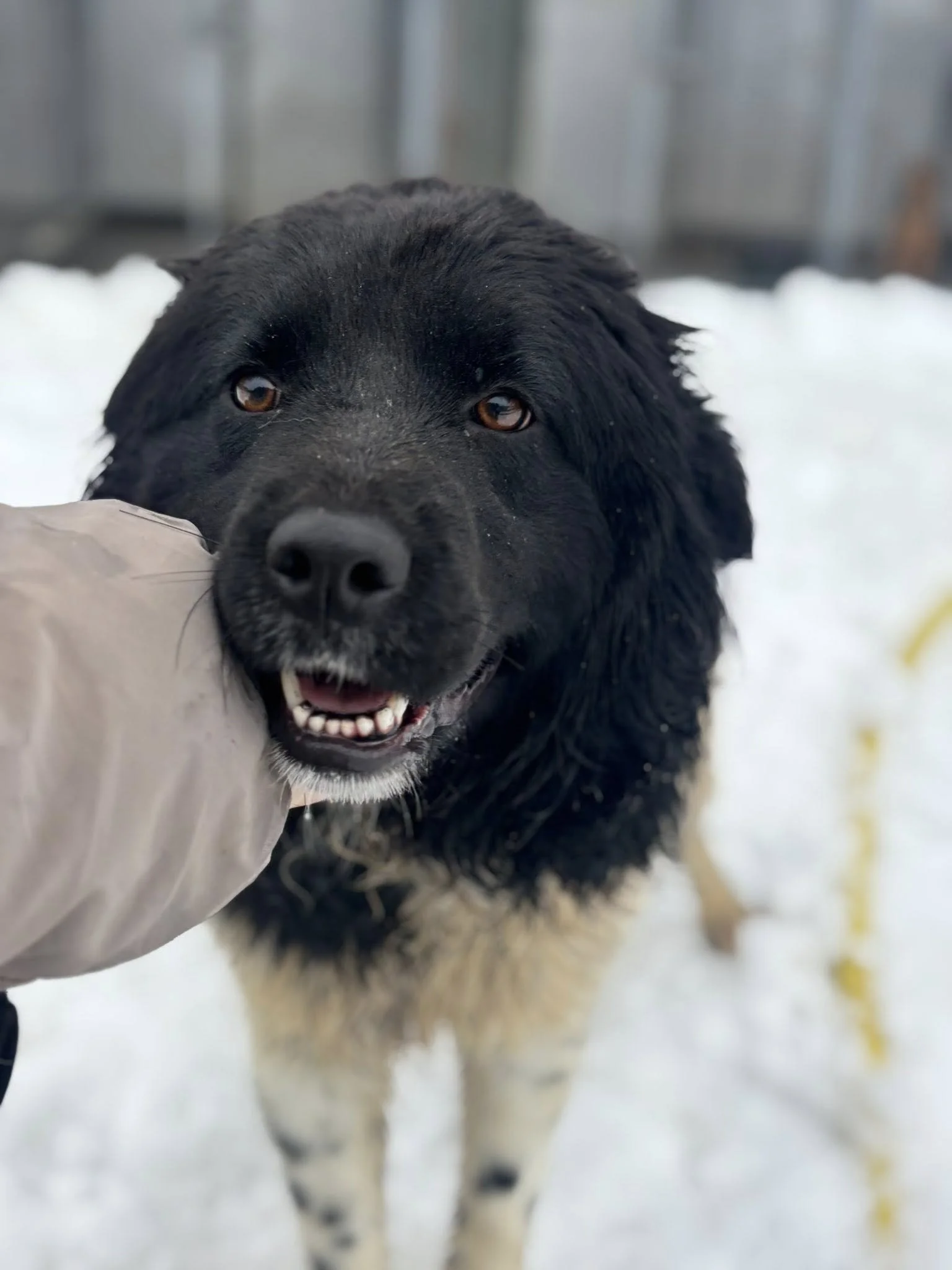 612723566_875046445441229_790799865382680580_n (1).jpg