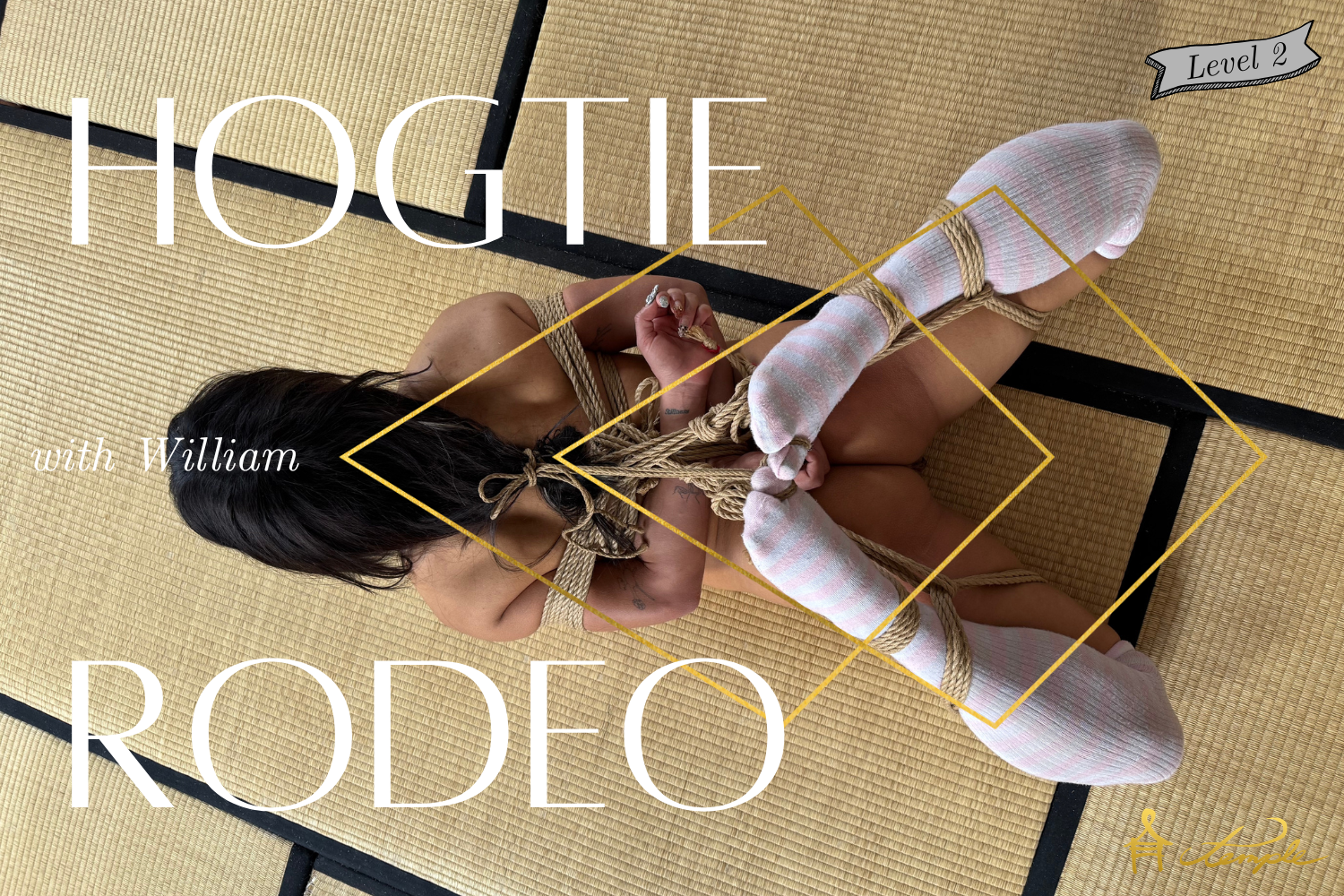 Hogtie Rodeo