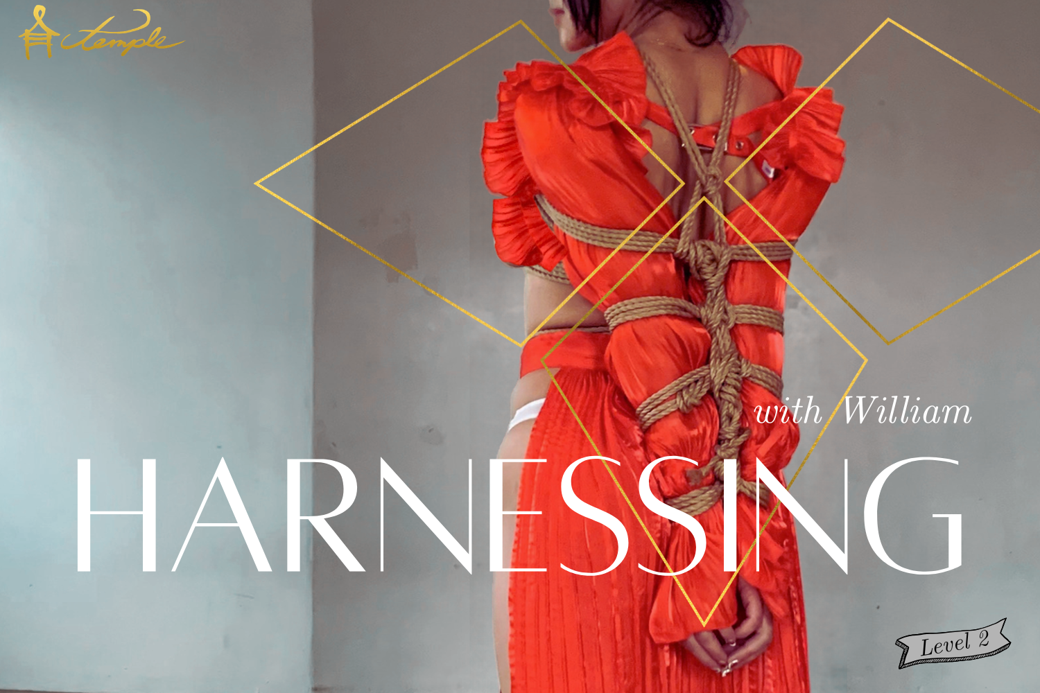 Harnessing: Strappado