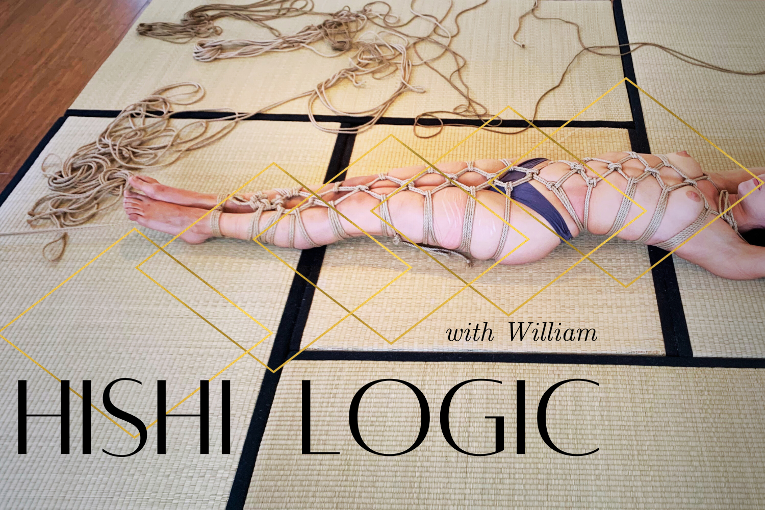hishi logic.png