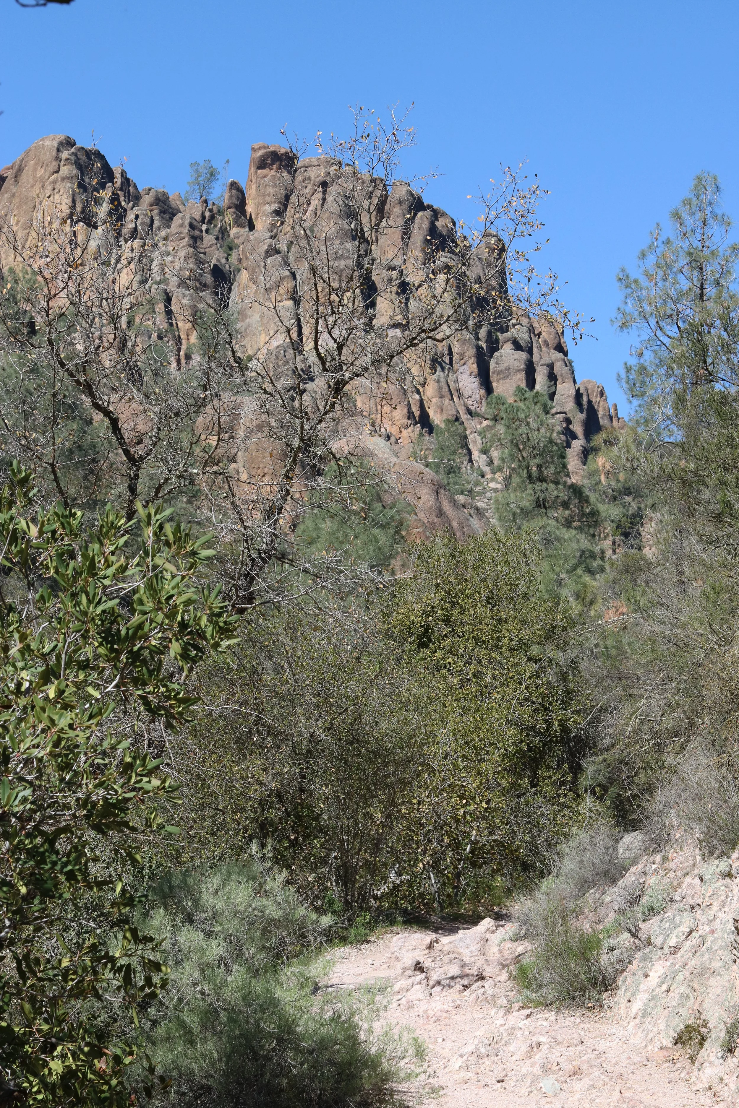 Getting higher, and Greg dropped out. I went ahead a bit to see how much farther we needed to go.