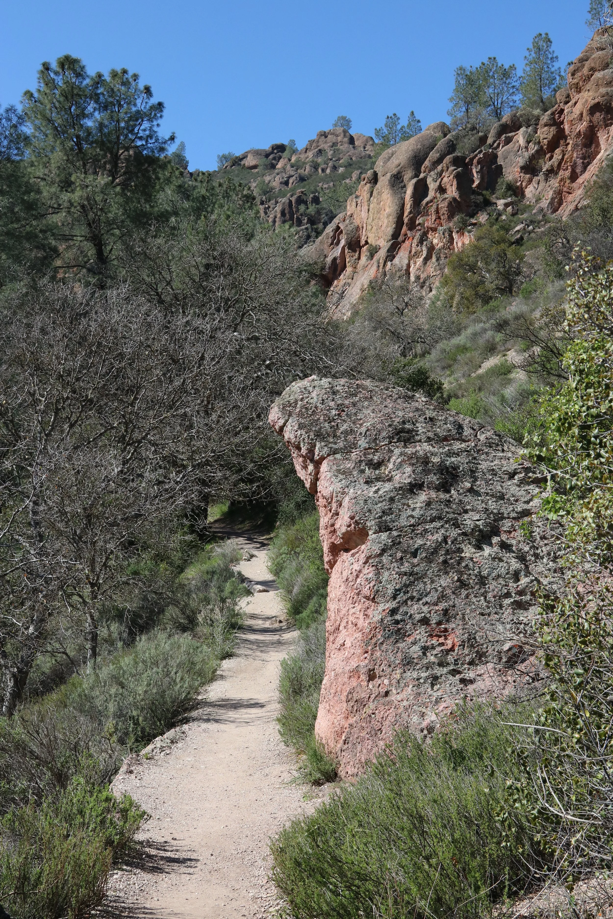Arched boulder along the Condor trail