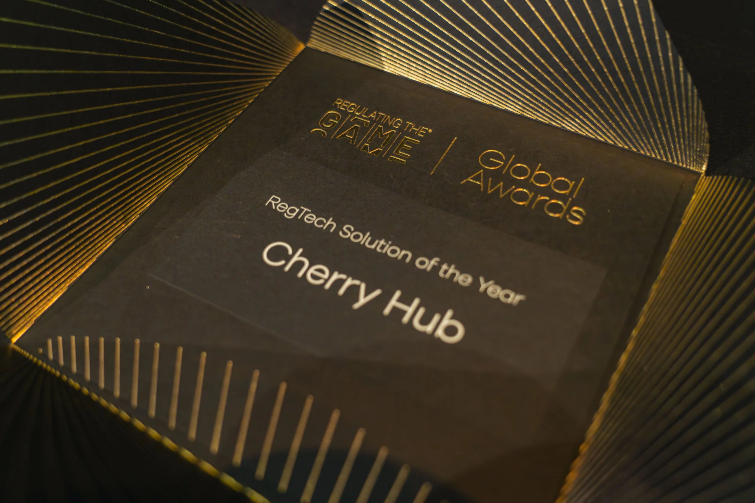 Mid-Res_RTG Day 2_256.jpg