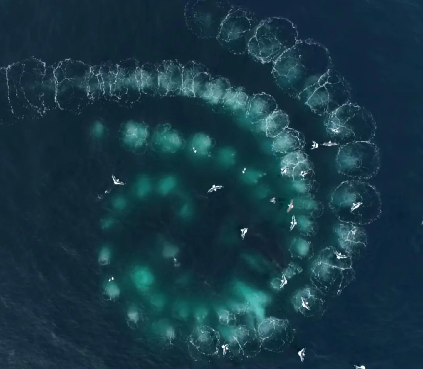 Whale House Weekend w Kate and Tess