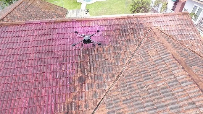 Roof Softwashing