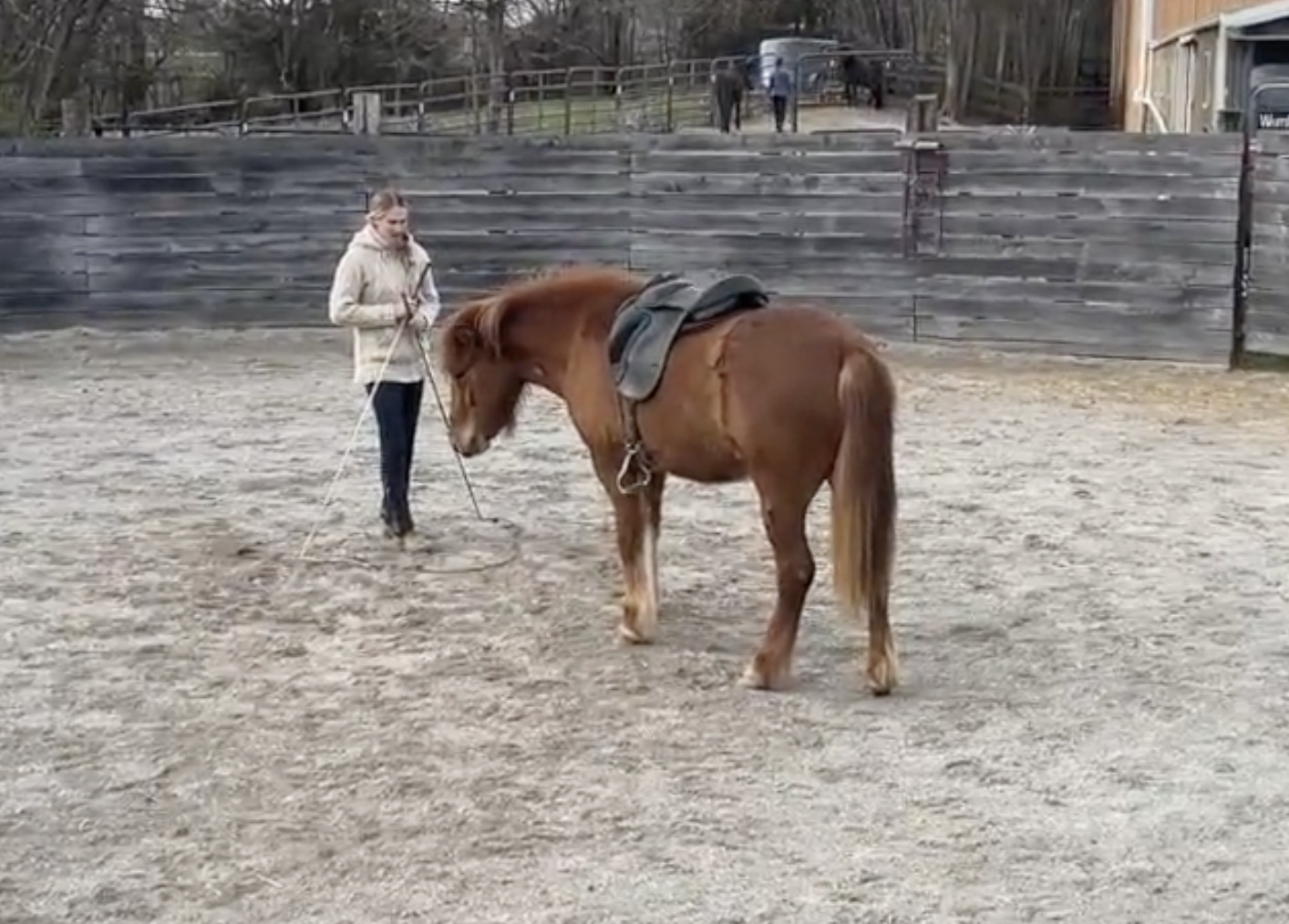 Session 17 Video - Introducing the Saddle