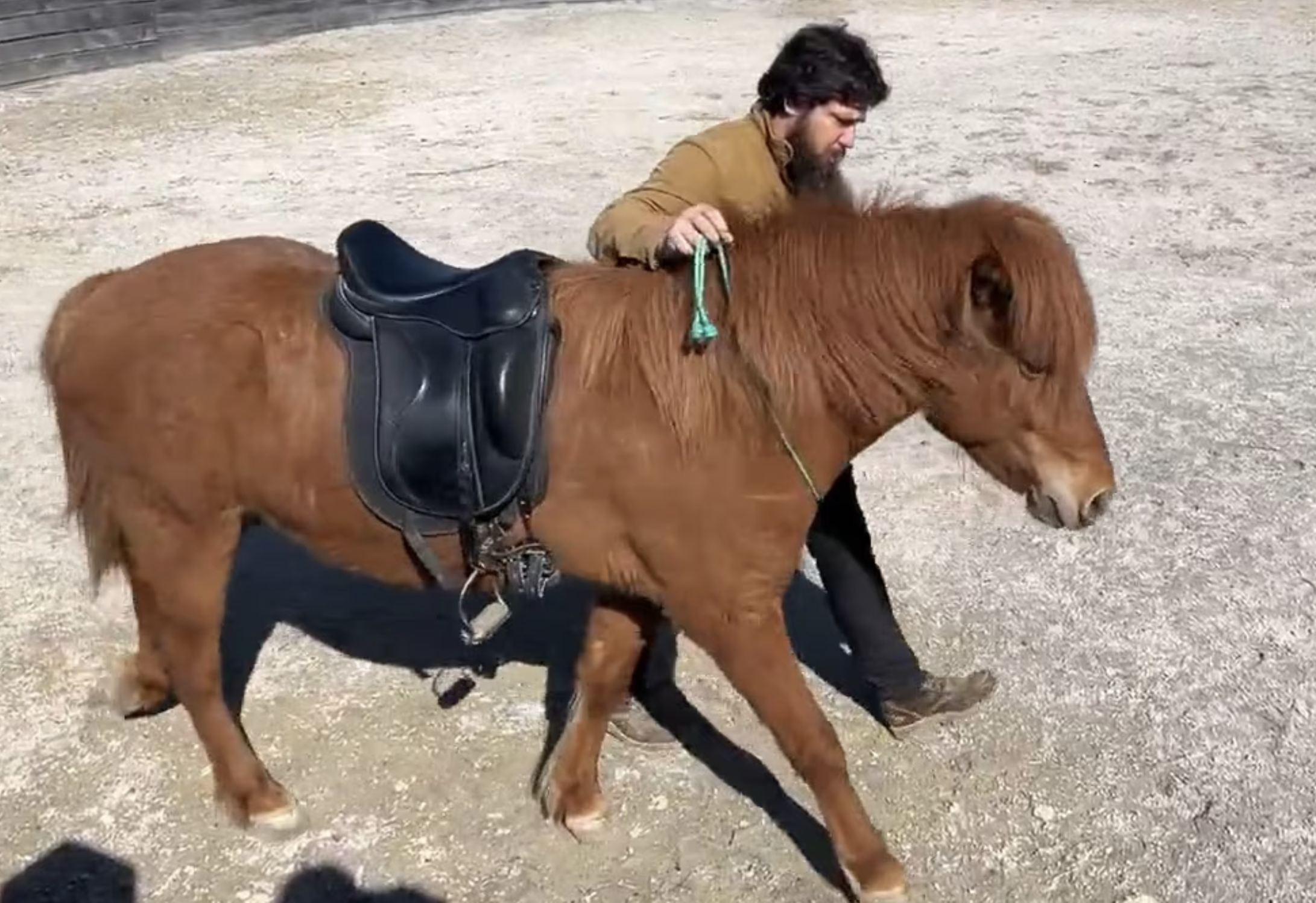 Session 23 Video - Terral Enters the Round Pen