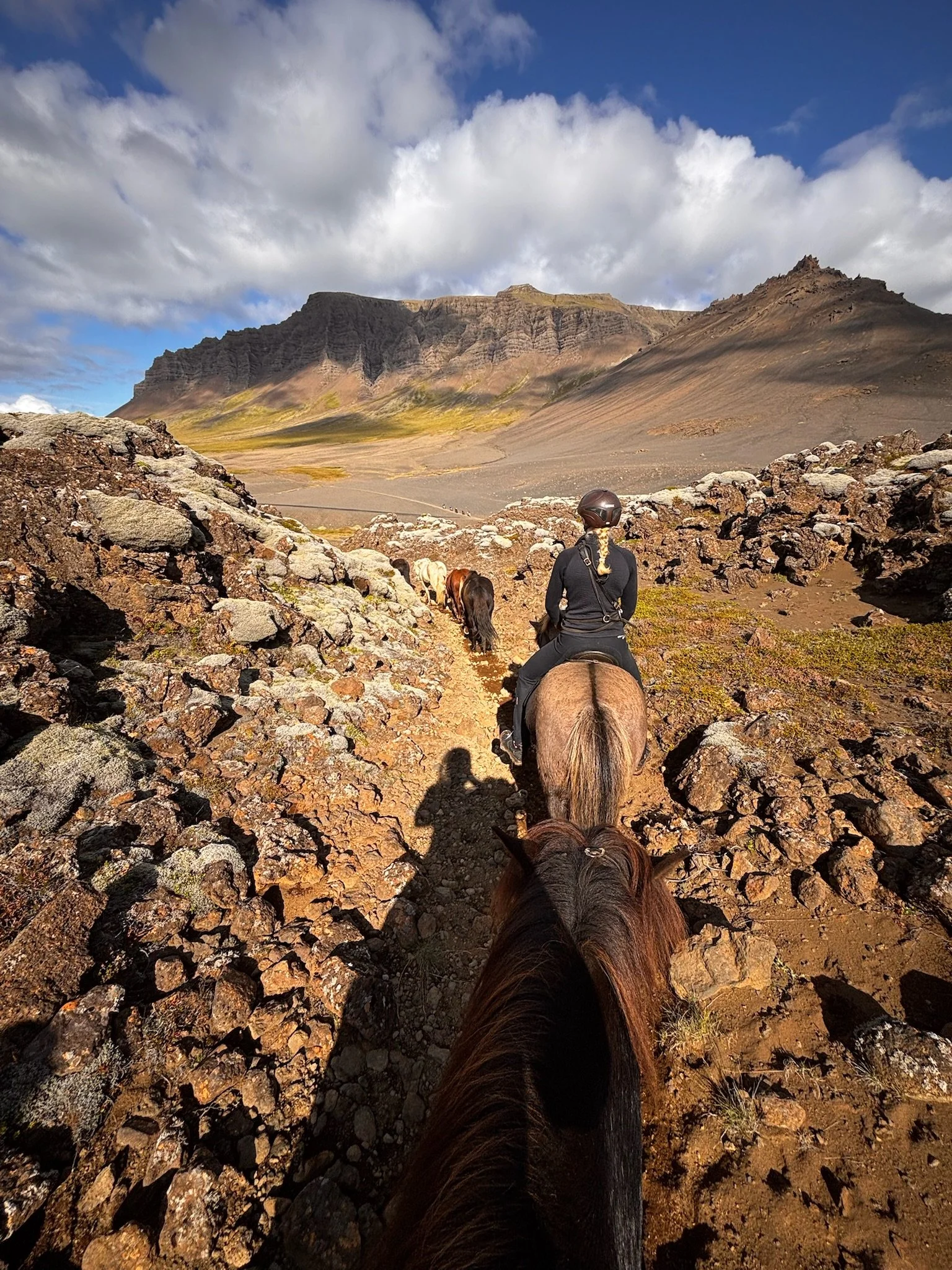 Sales Horse Trip to Iceland