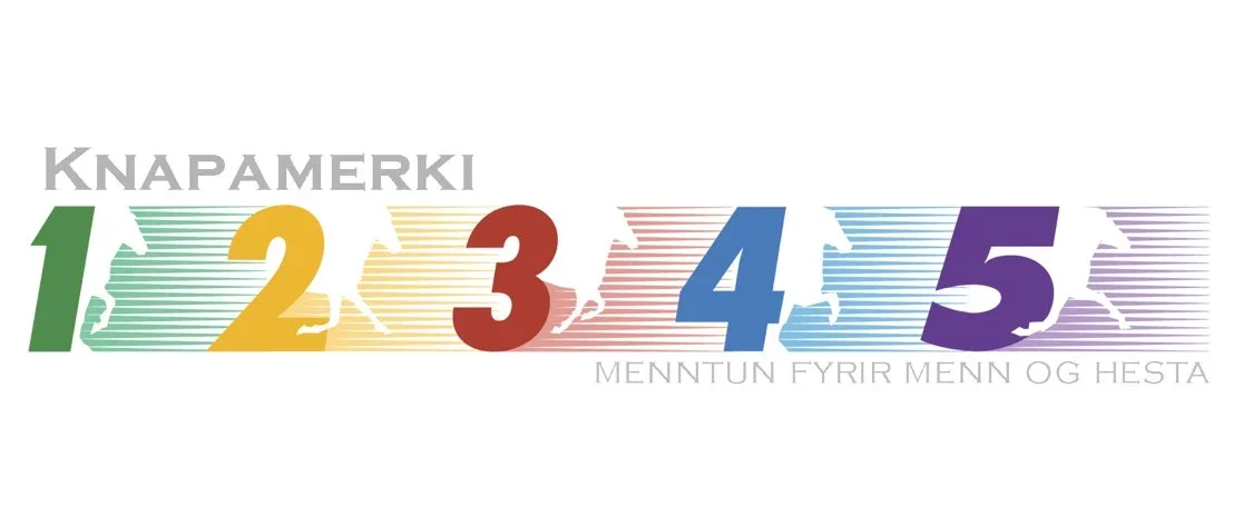 Knapamerki Testing Levels 1-2