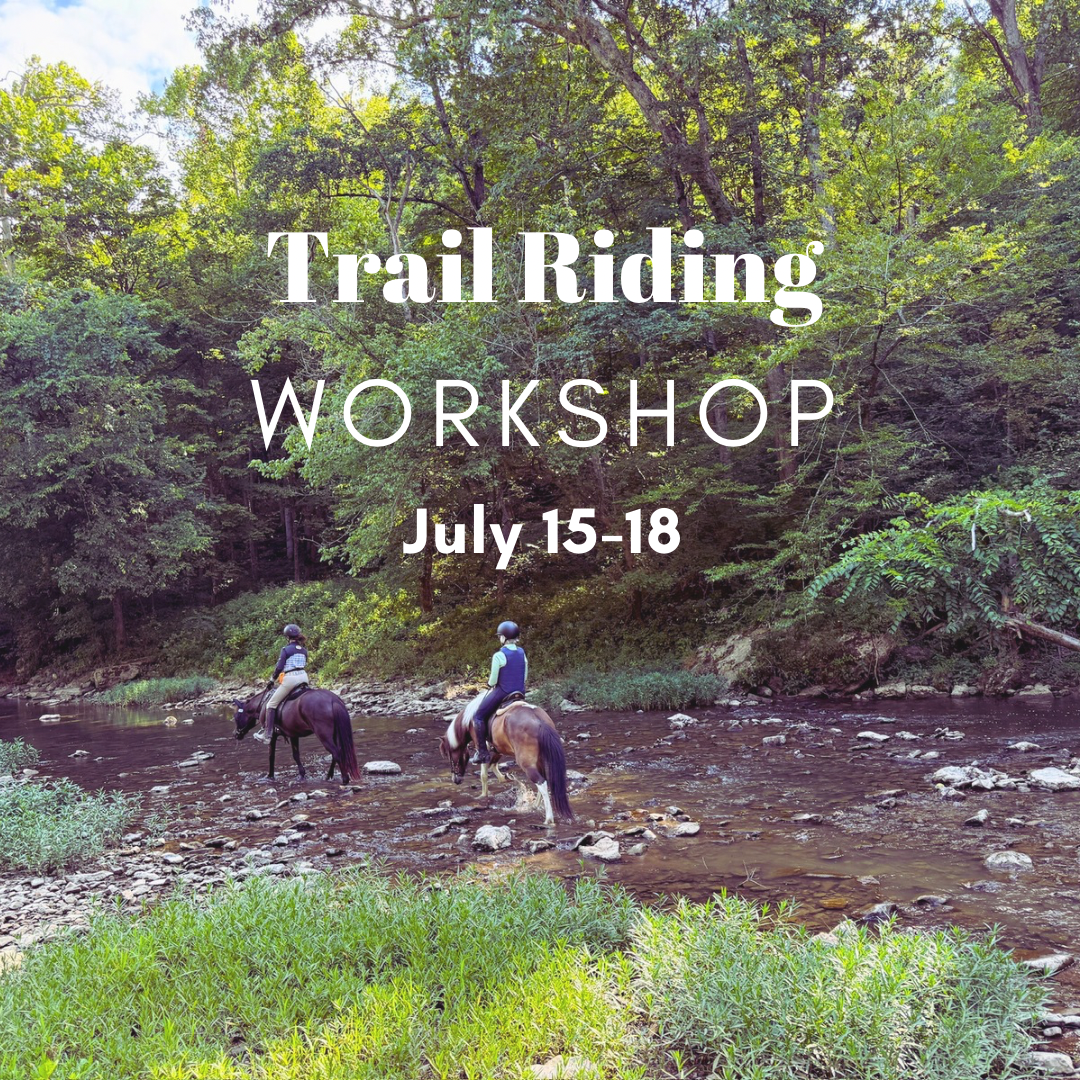 Trail Workshop