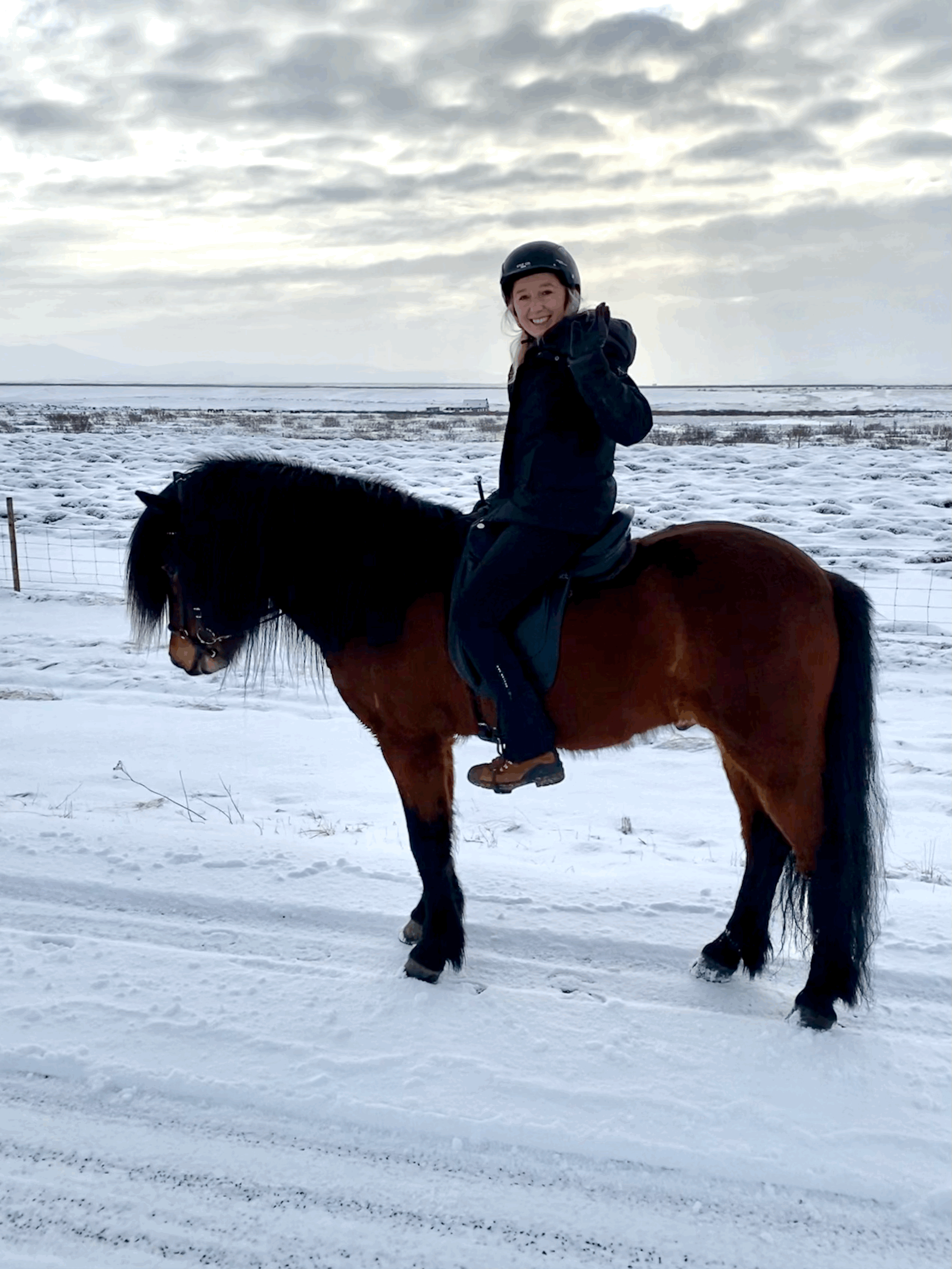Sales Horse Trip to Iceland