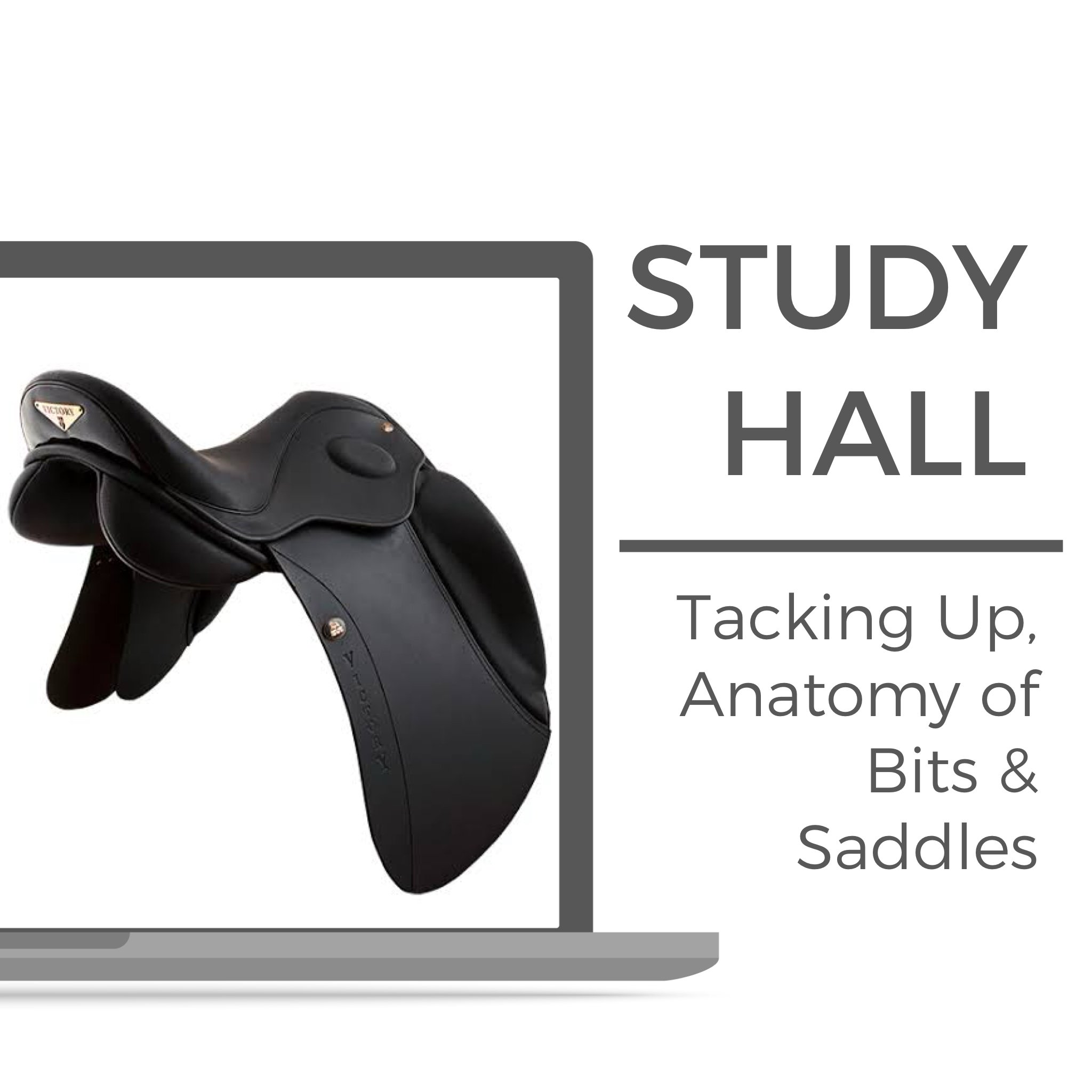 Knapamerki study hall #5: Tacking Up, Anatomy of Bits &amp; Saddles