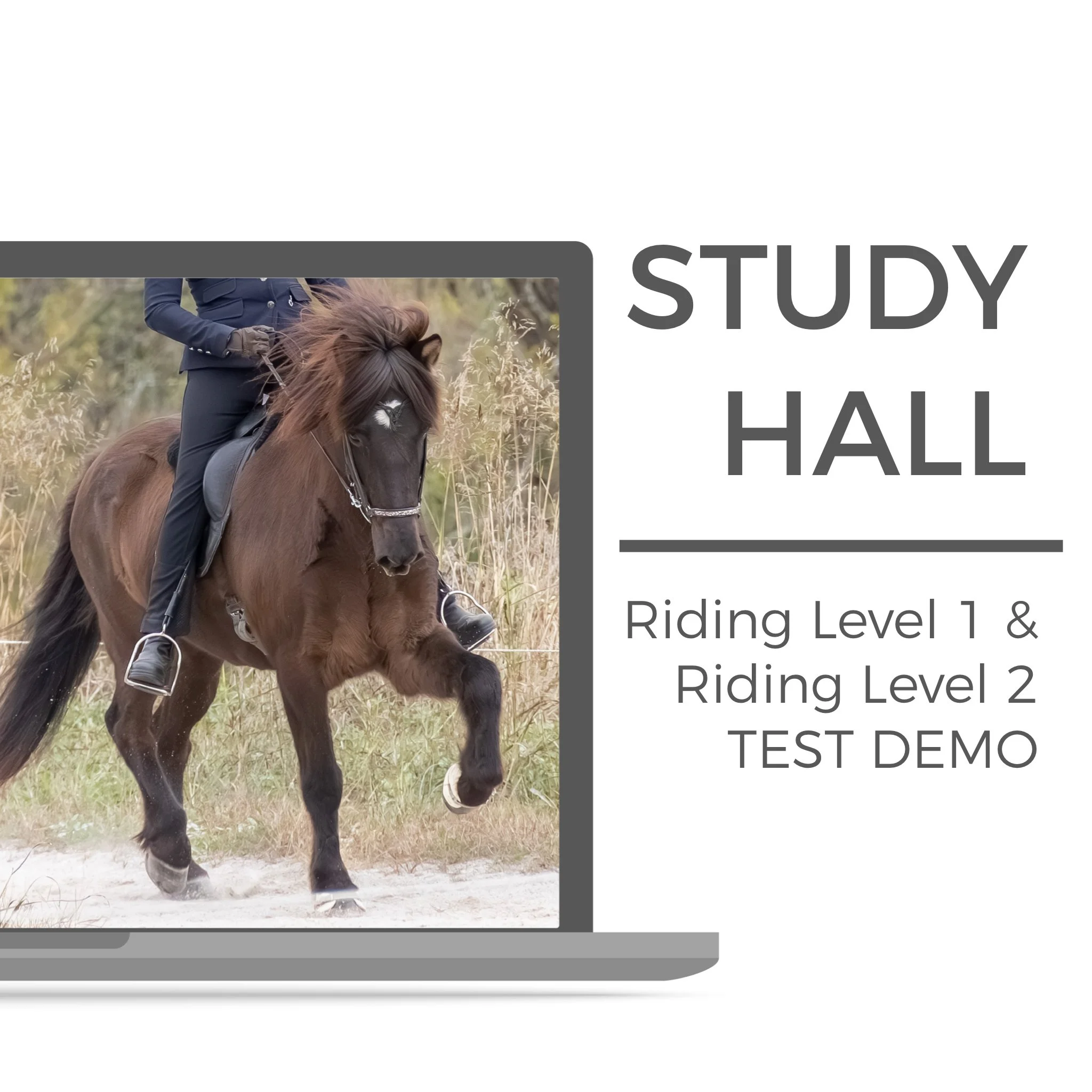 Knapamerki study hall #8: Riding Level 1 &amp; Riding Level 2 Test Demo