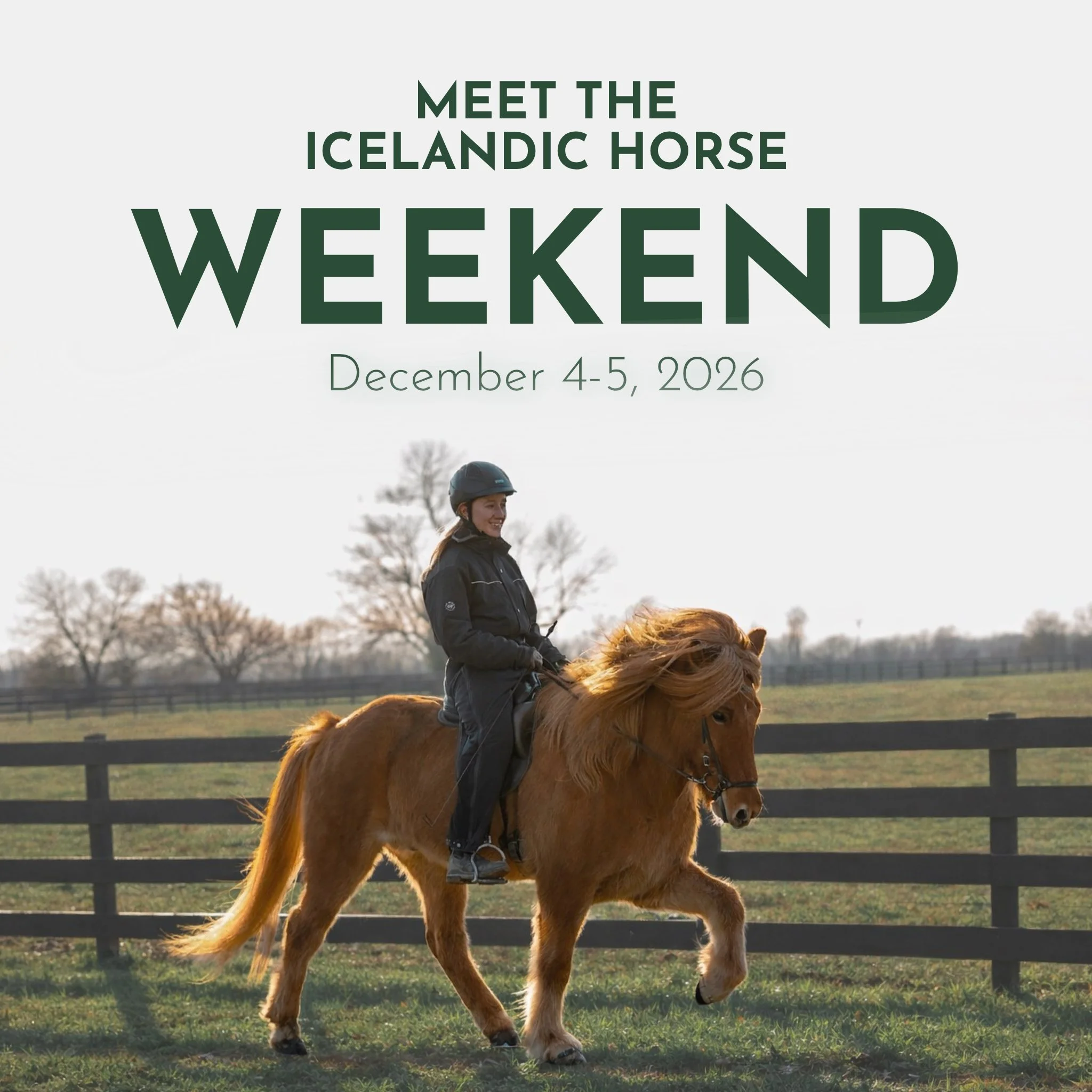 Meet The Icelandic Horse Weekend