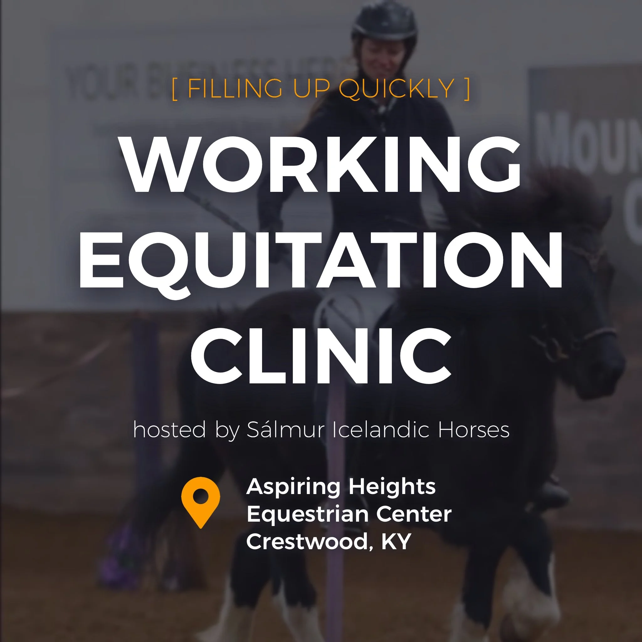 Working Equitation Clinic - with Caeli Cavanagh