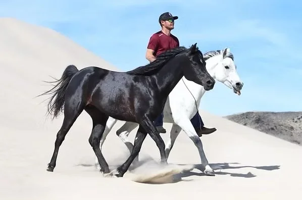 Clinic #2 with Patrick Sullivan 