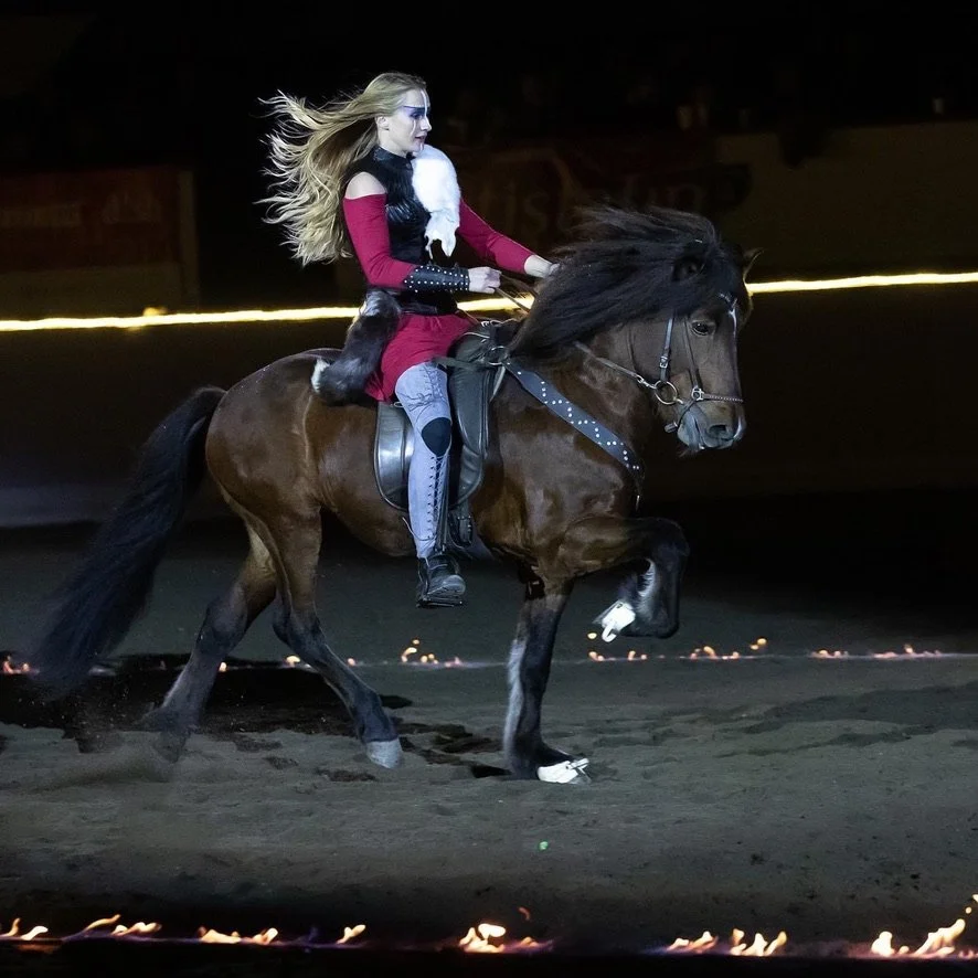 Breyerfest: Knights of Iceland Performances