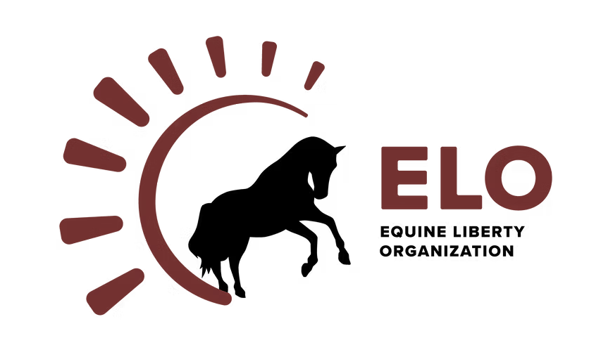Equine Liberty Organization Show