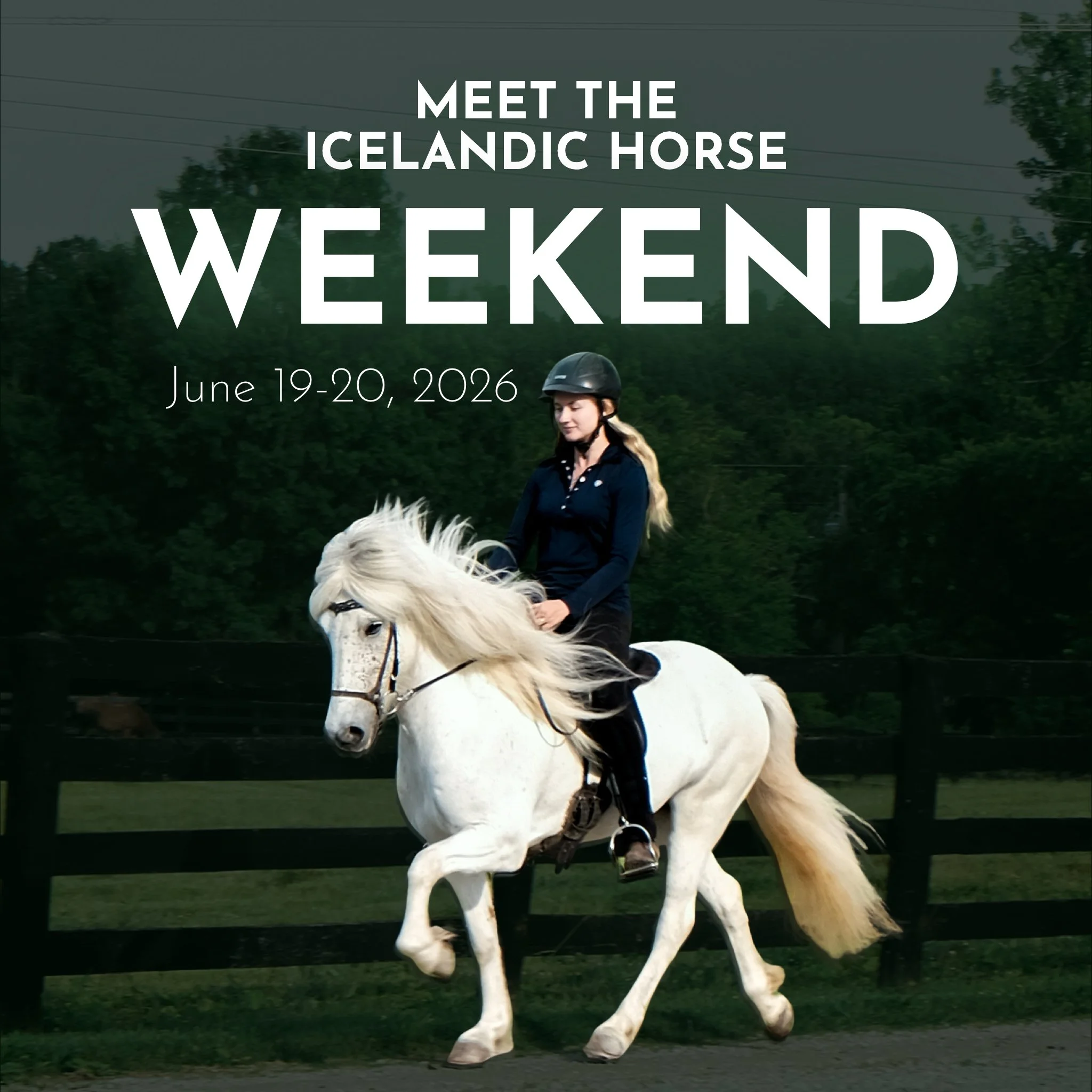 Meet The Icelandic Horse Weekend - Summer (Sign Up & Deposit)