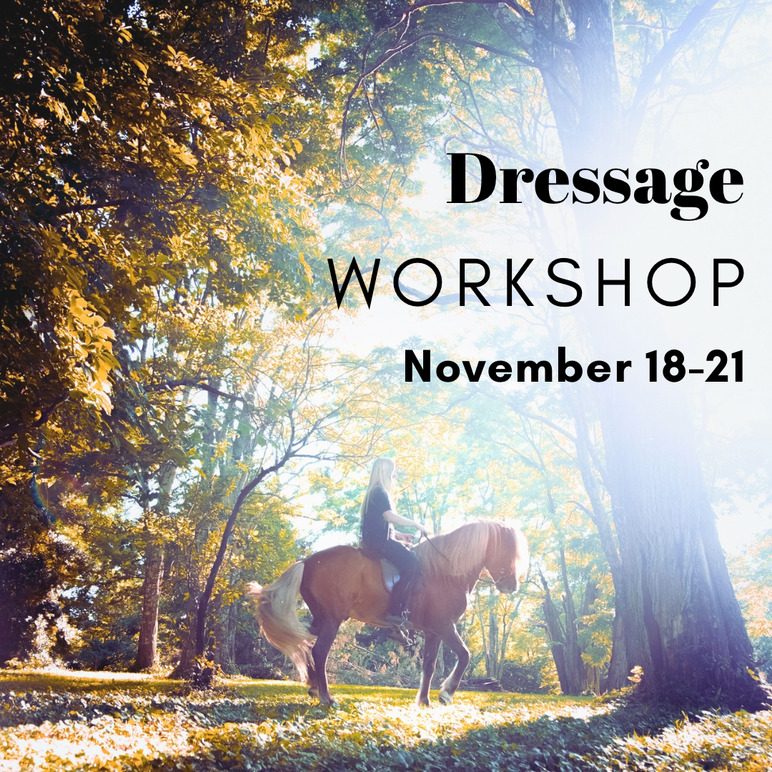 Workshop: Dressage (Sign Up & Deposit)