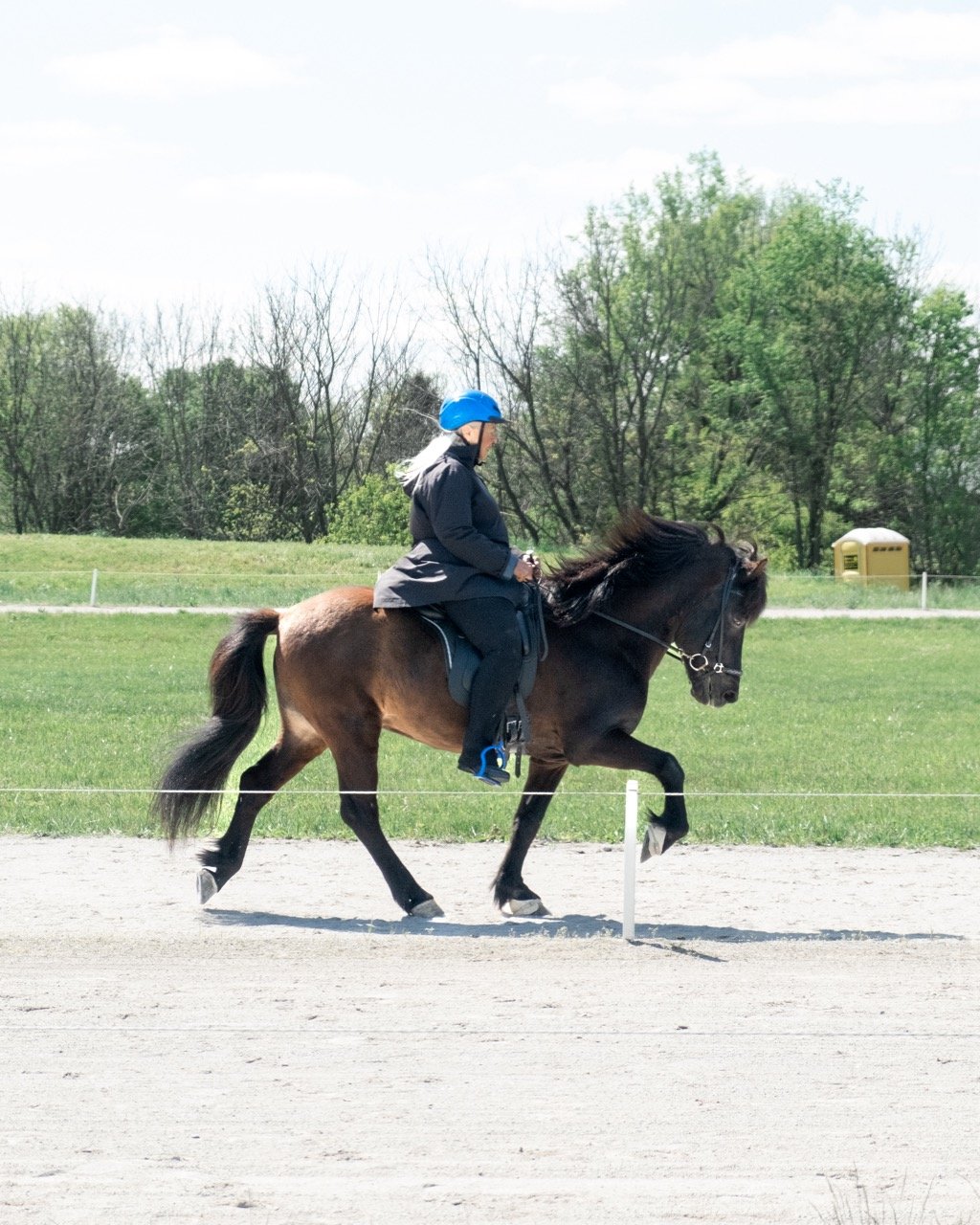 This pair was honored in our Old Freestyle Class! Kathy & Pegasus are an incredibly special duo 💙