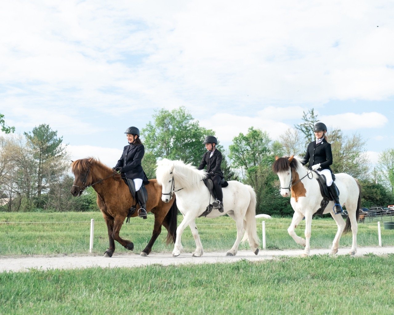 A proud march to the middle after completing their tolt class - a first show for all three of these horse & rider combinations!