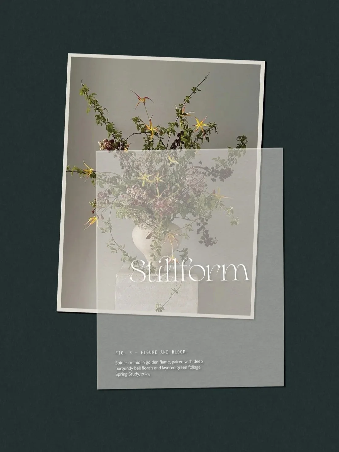 Stillform Floral Studio brand identity featuring refined typography and contemporary romantic artful logo design