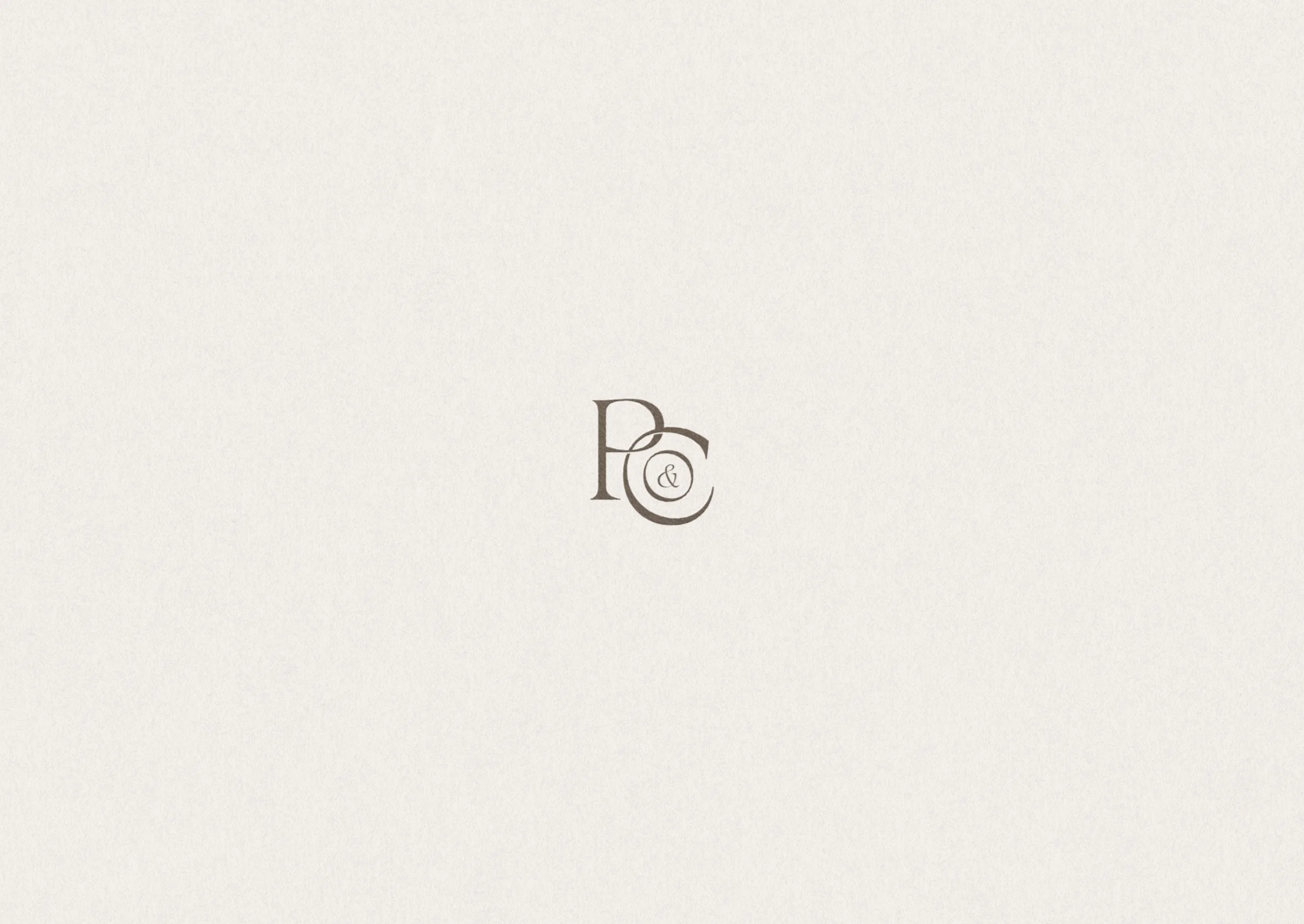 Paige and Co Interiors modern organic interior design studio typographic brand mark