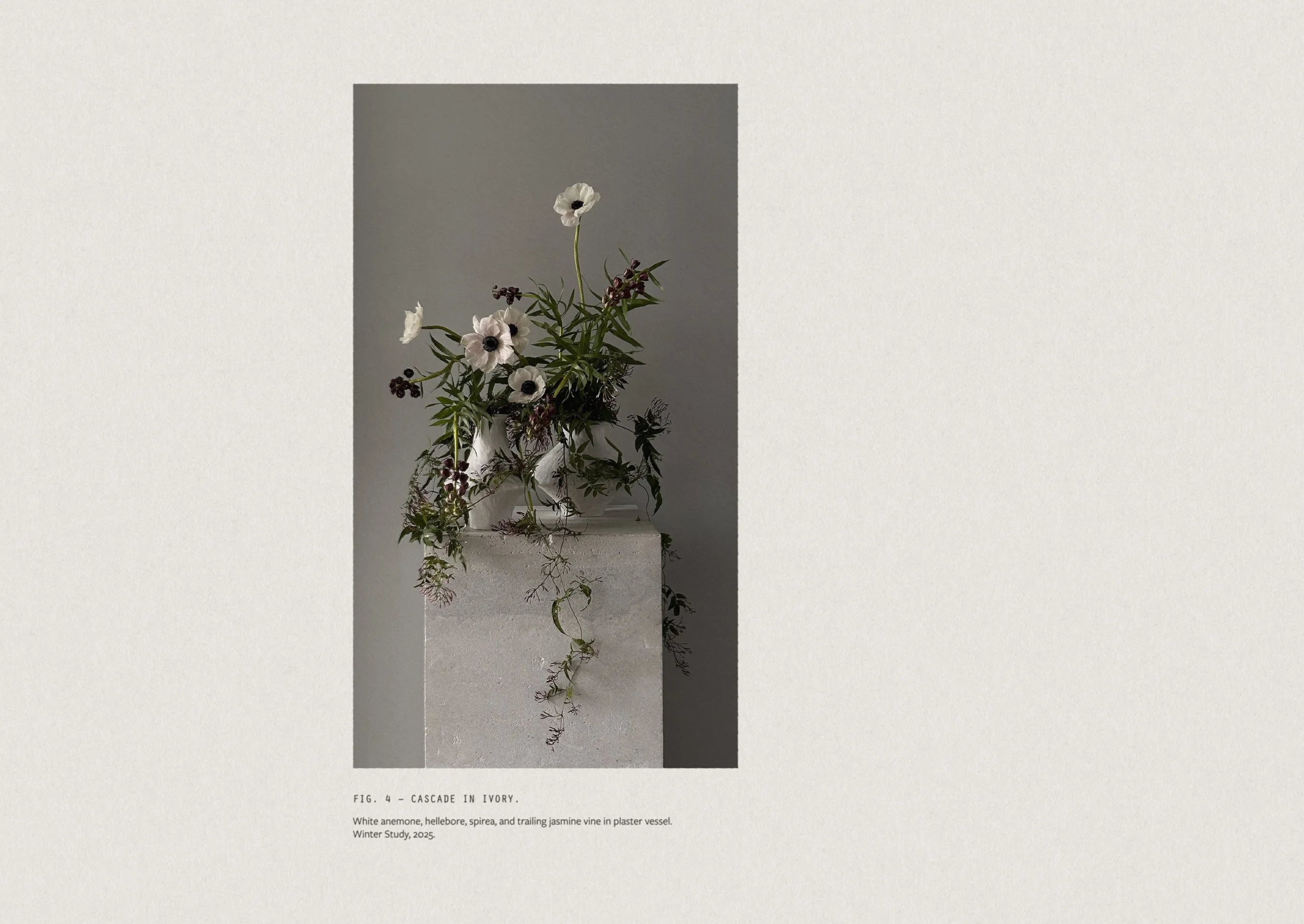 Stillform Floral Studio editorial brand layout inspired by contemporary art gallery design and archival text