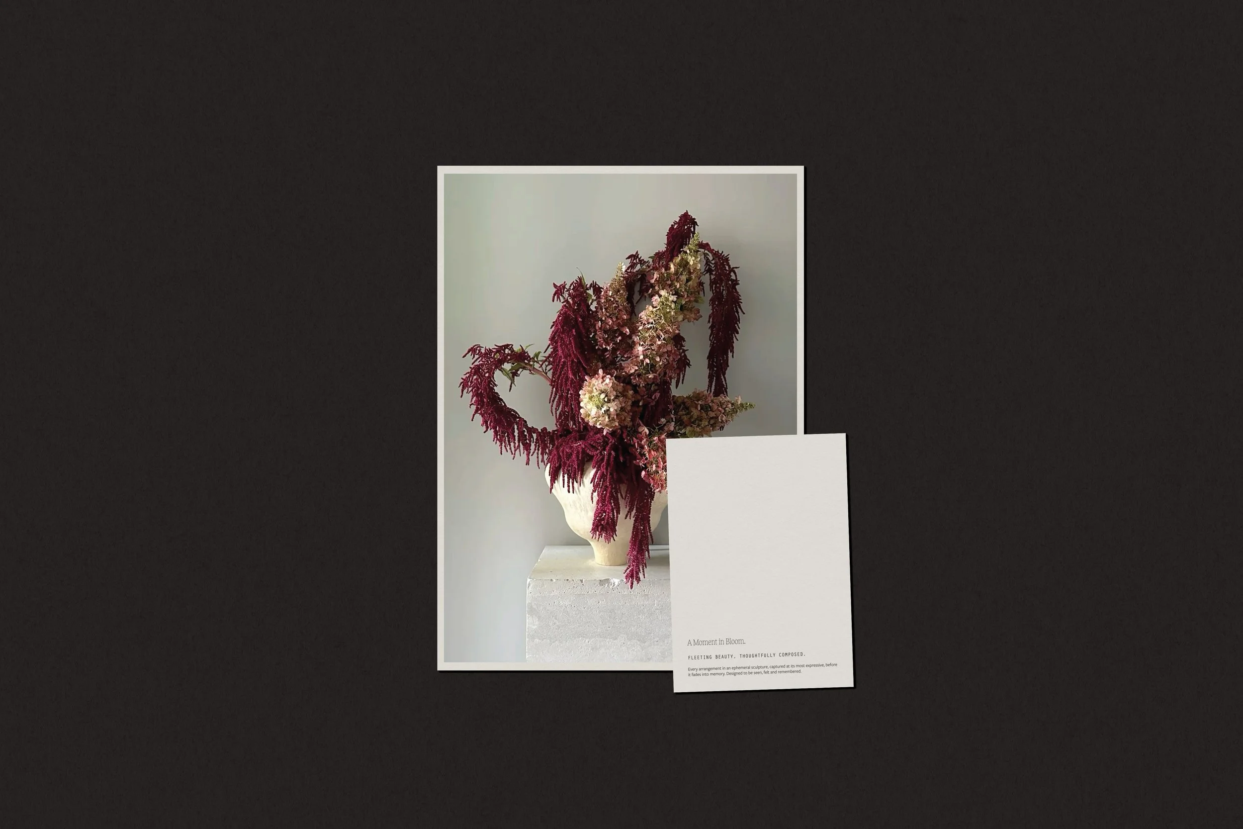 Stillform Floral Studio branding collateral including editorial style print materials and floral arrangement phorograph