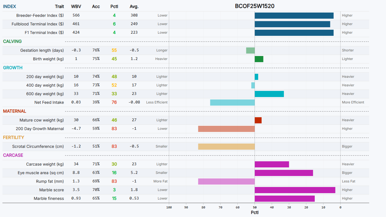 world of wagyu genetics